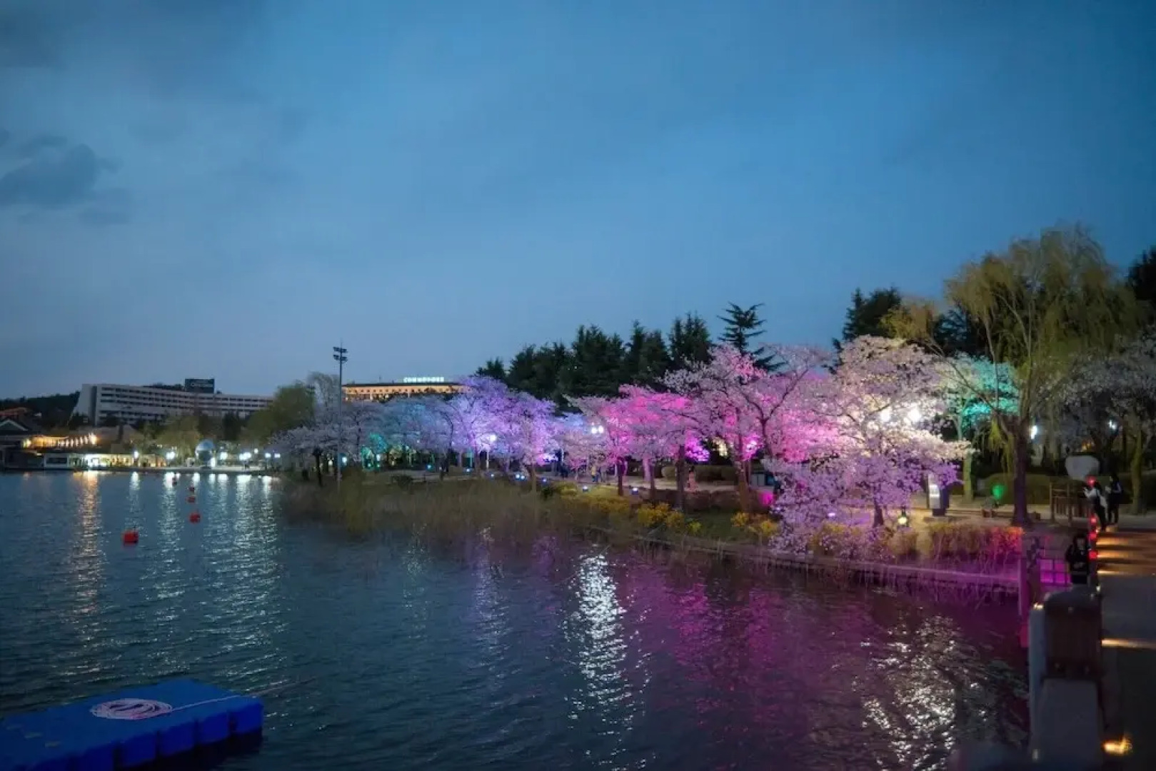 Squirrel And Akorn Pension