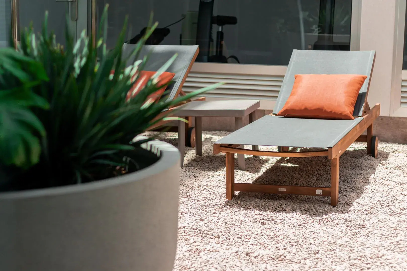 Apartamentos El Palmar