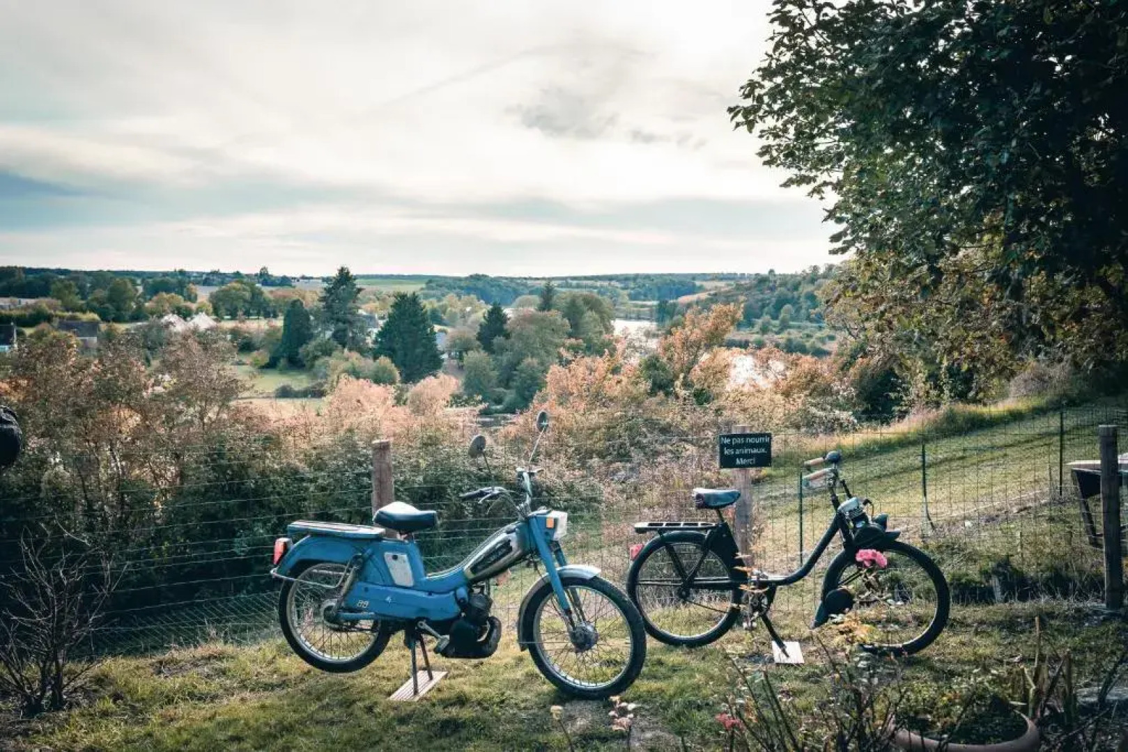 La Maison au bord du Lac