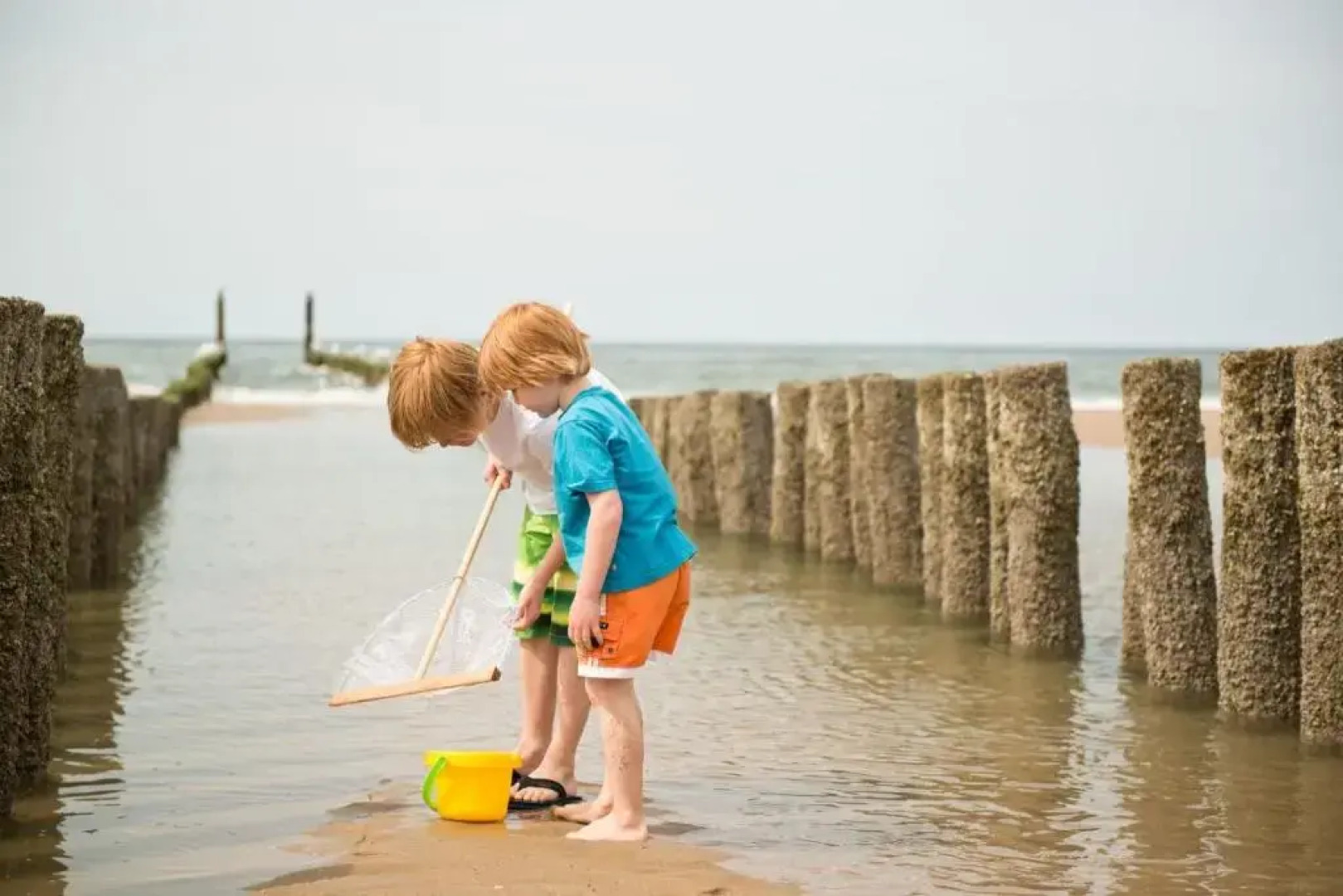 Maxime 203 Kustpark Village Scaldia