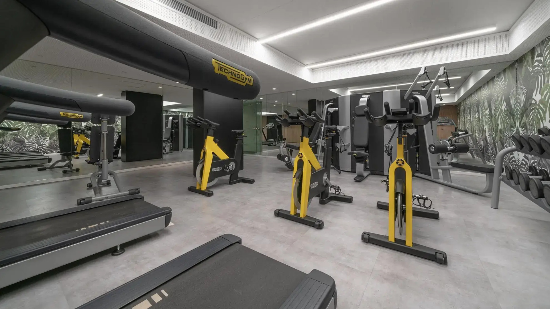 Top Rentals Belgrano