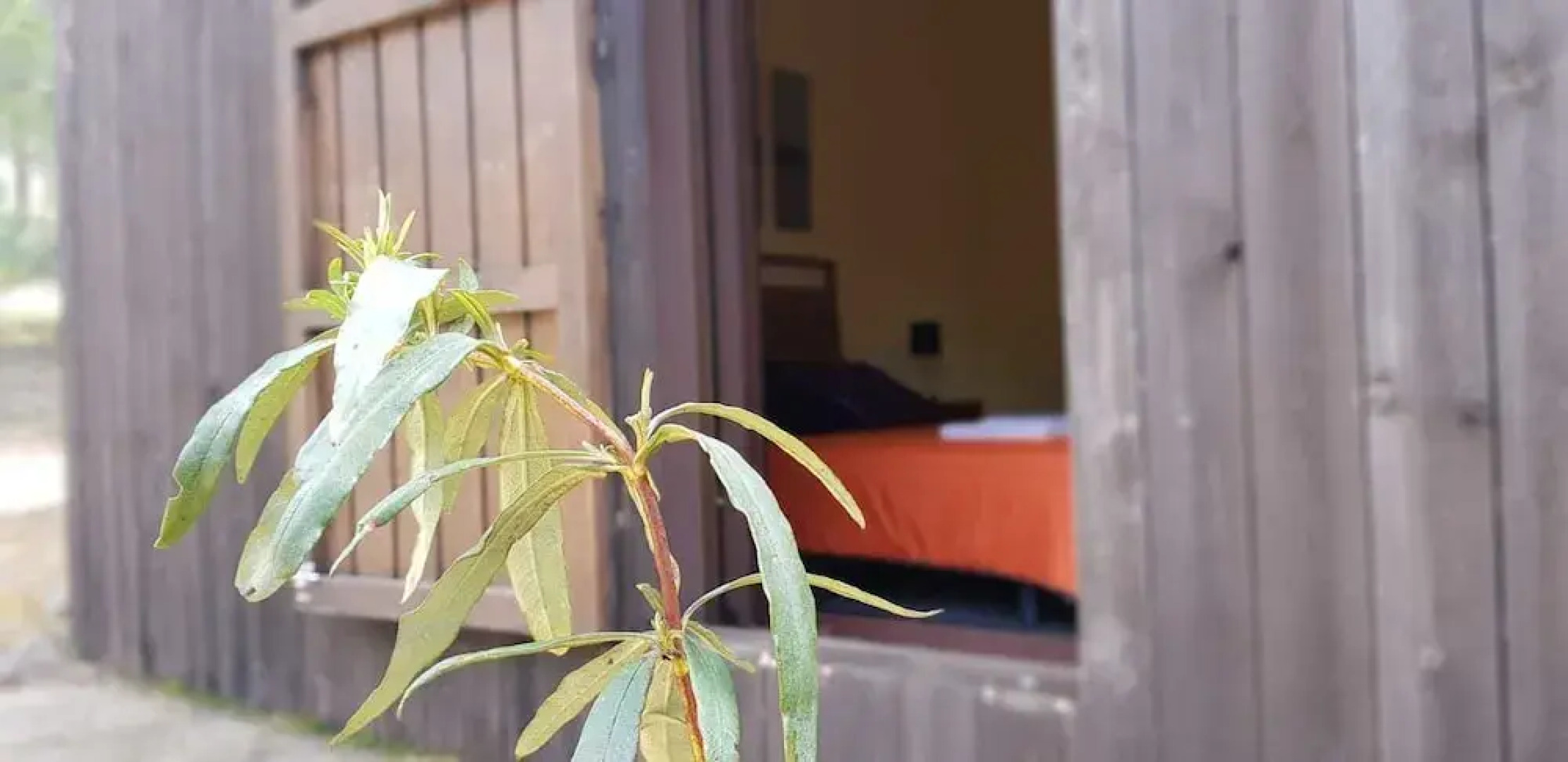 Casas Rurales Cijara