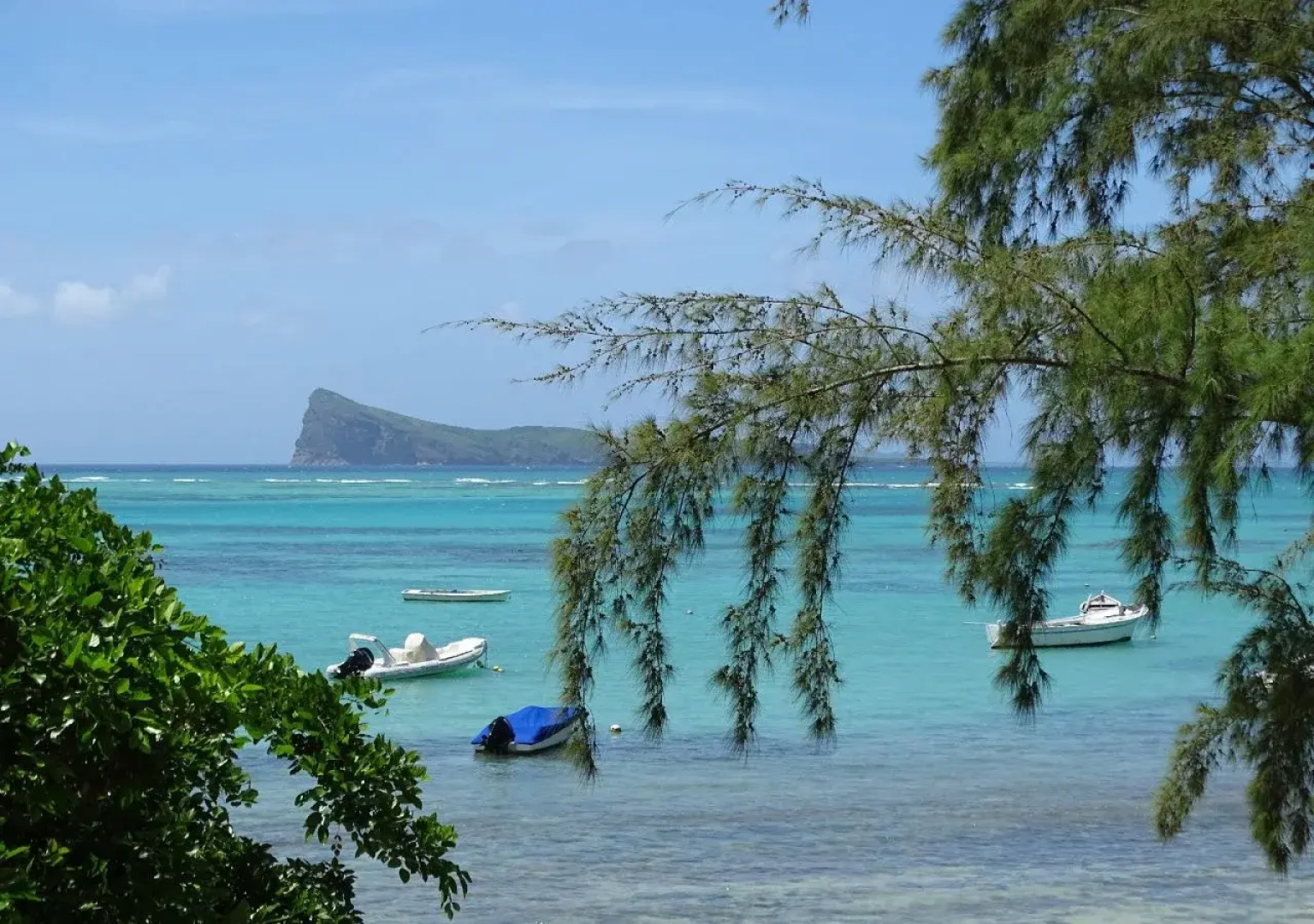 Nitzana Residences & Restaurant