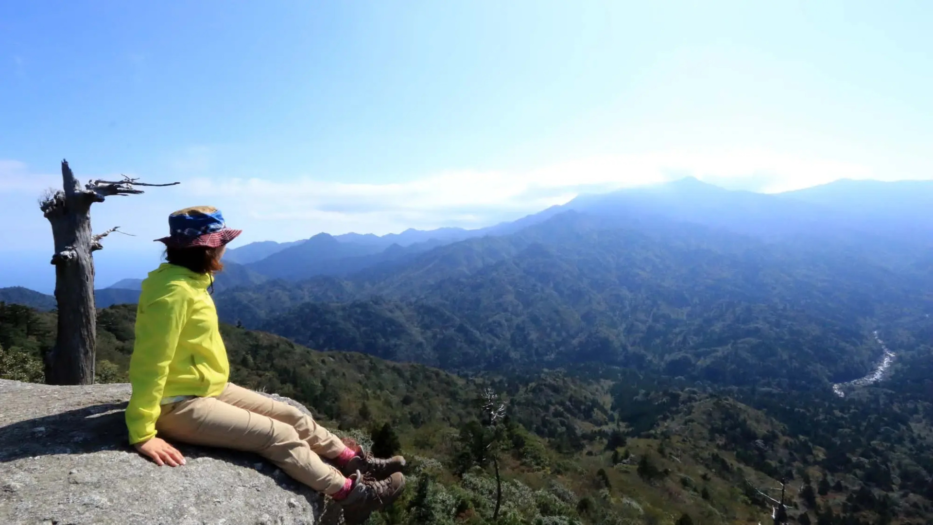 Minshuku Miyanourasou