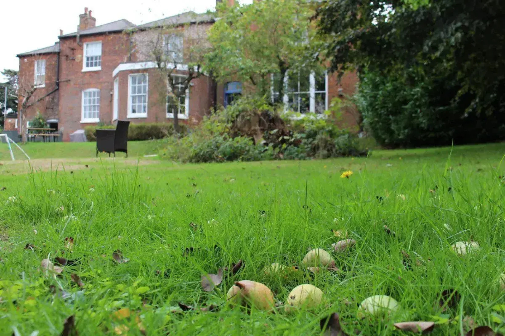 Swollows House