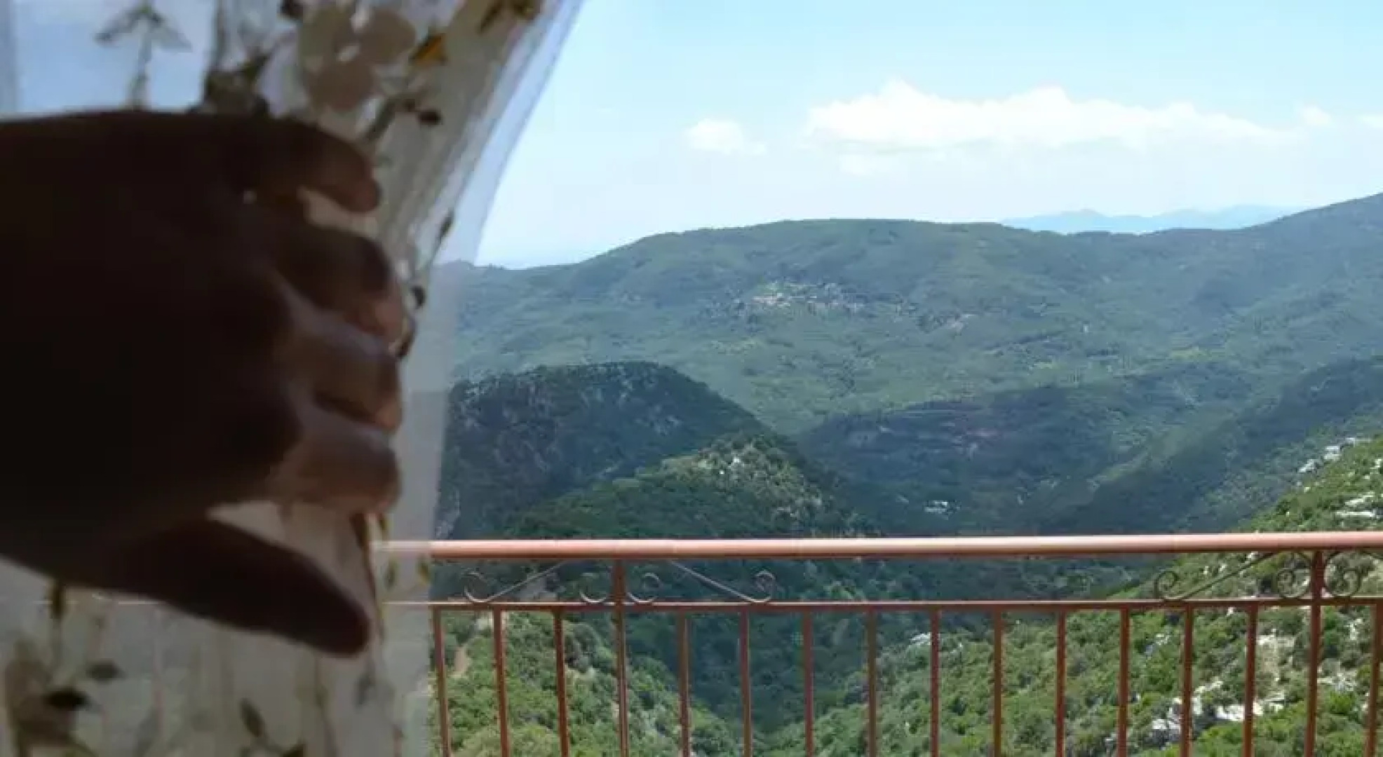 Fteroto Podilato