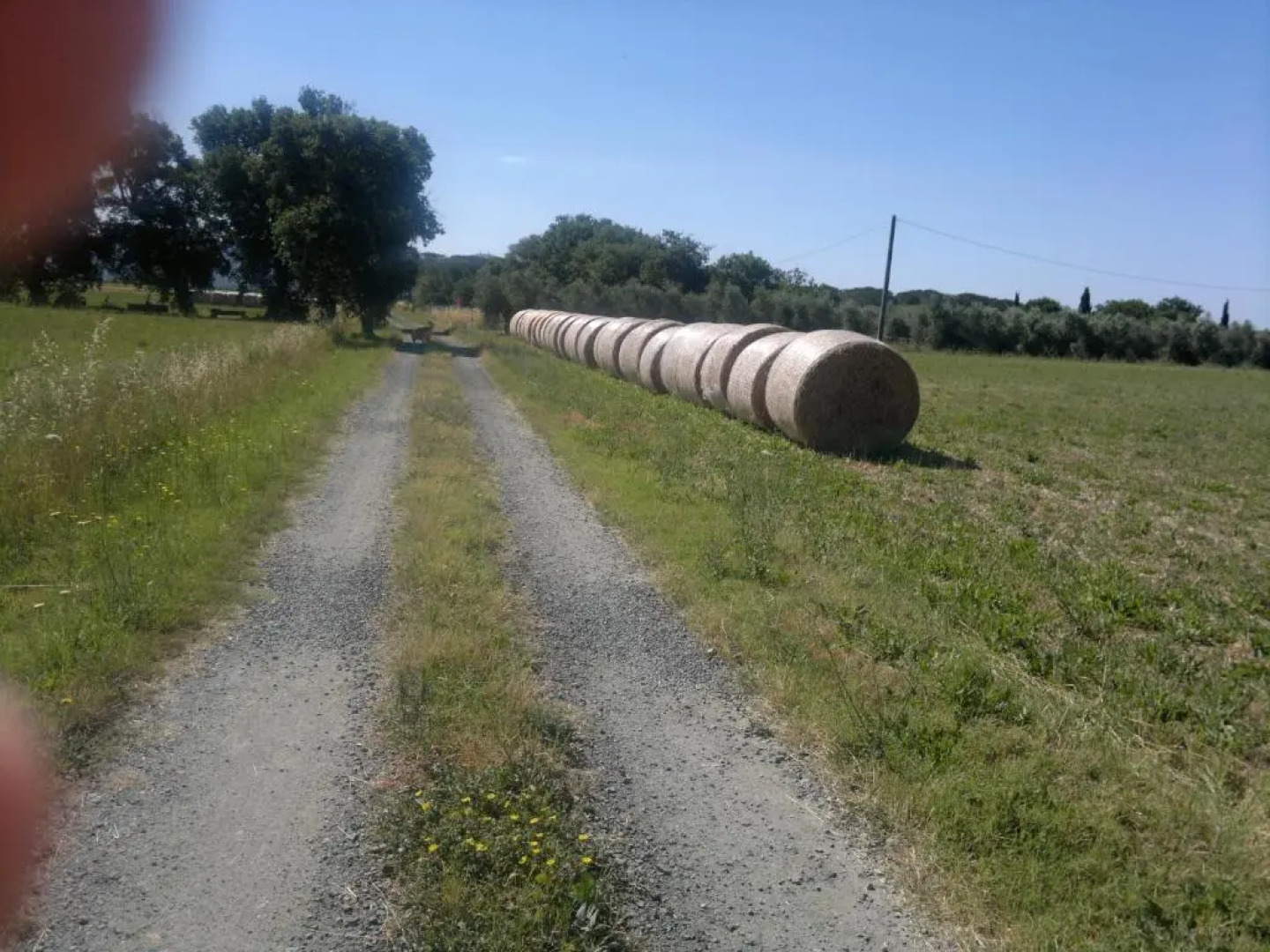 Agriturismo Il Selvello