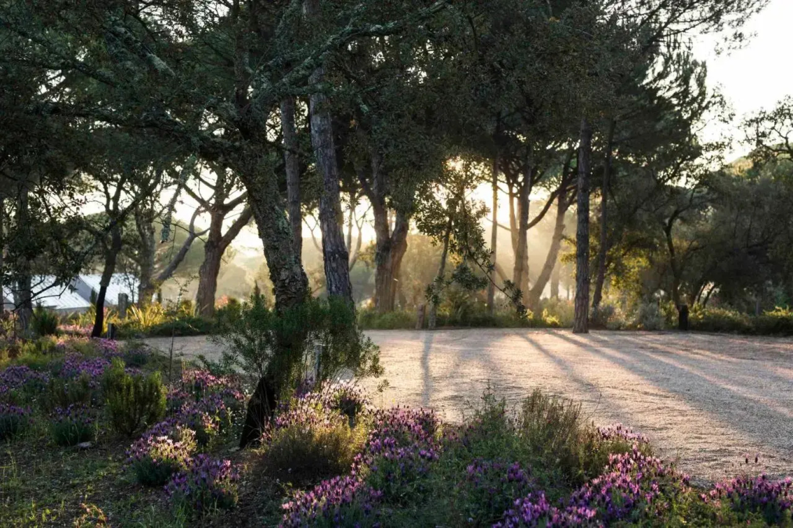 Sublime Comporta Country House Retreat