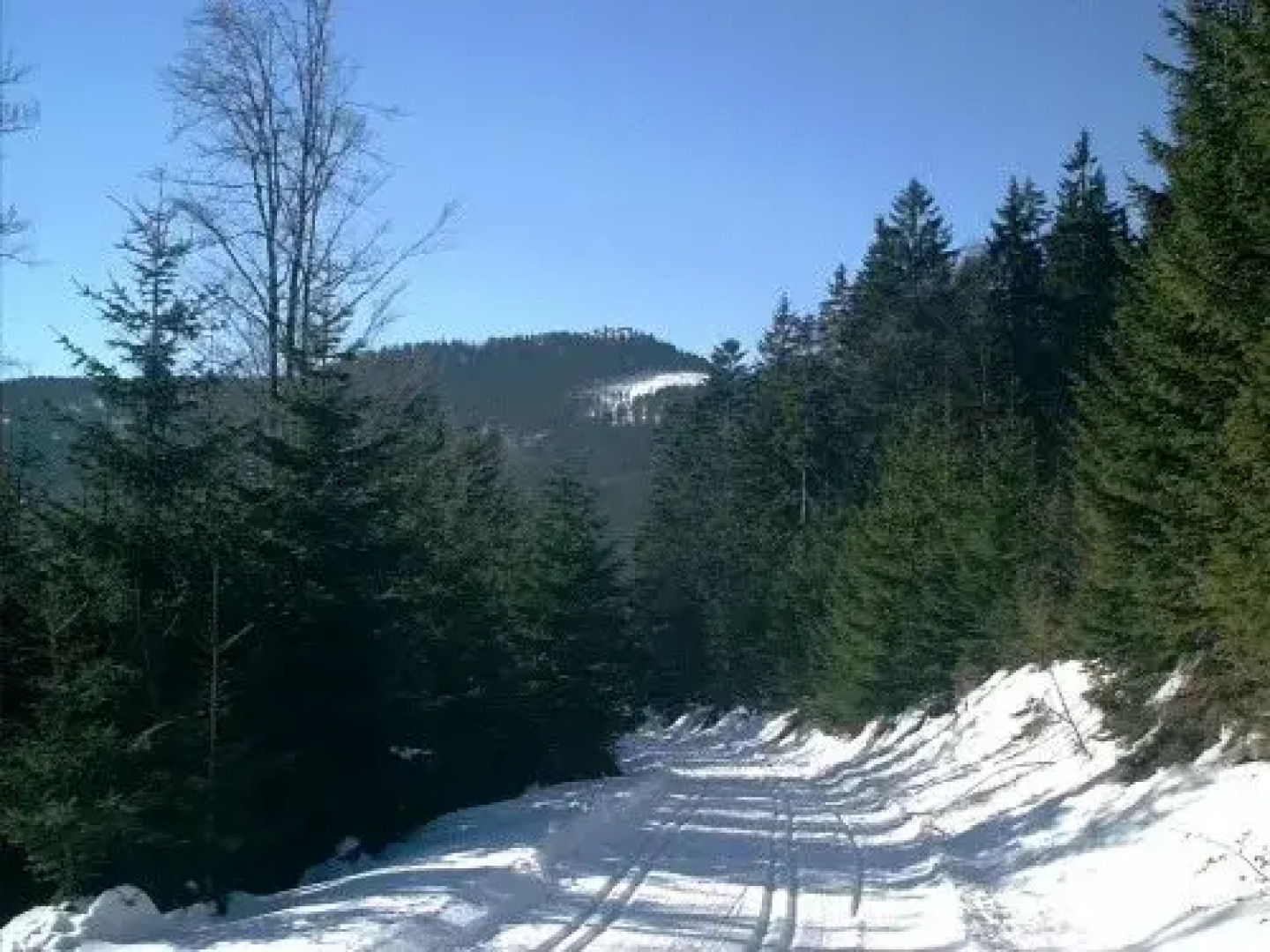 Gasthof - Pension Schamberger