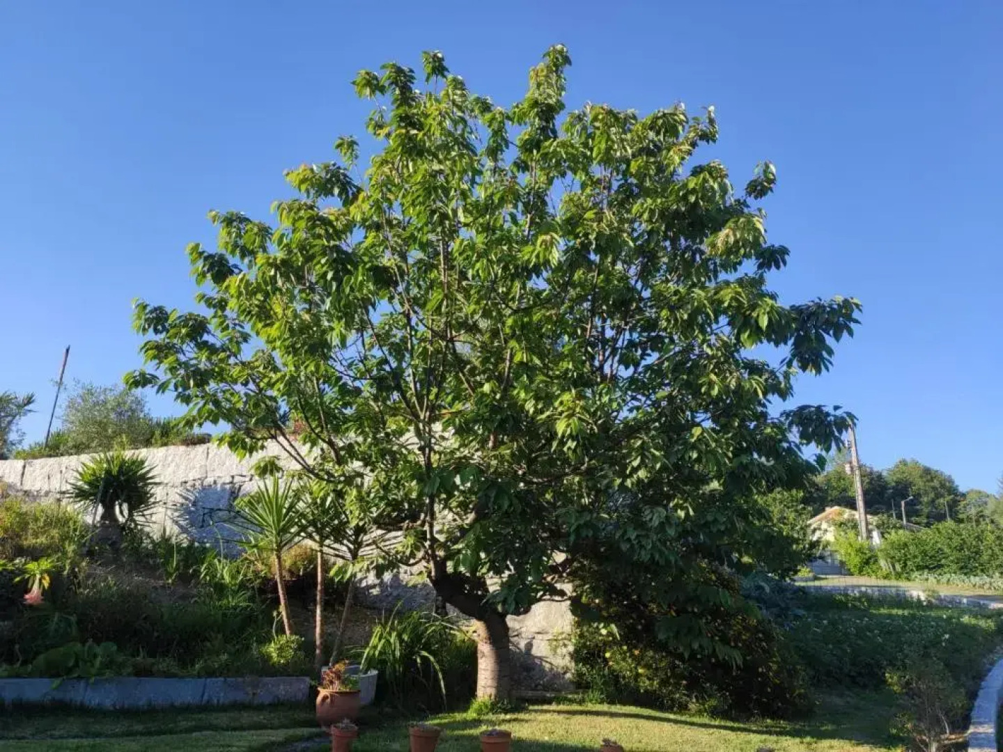 Propriedade do Pires