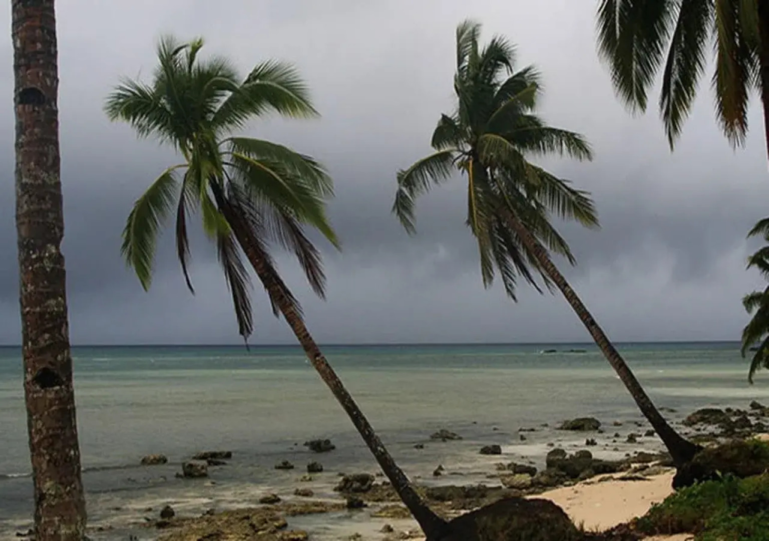 Tarzans Beach Resort