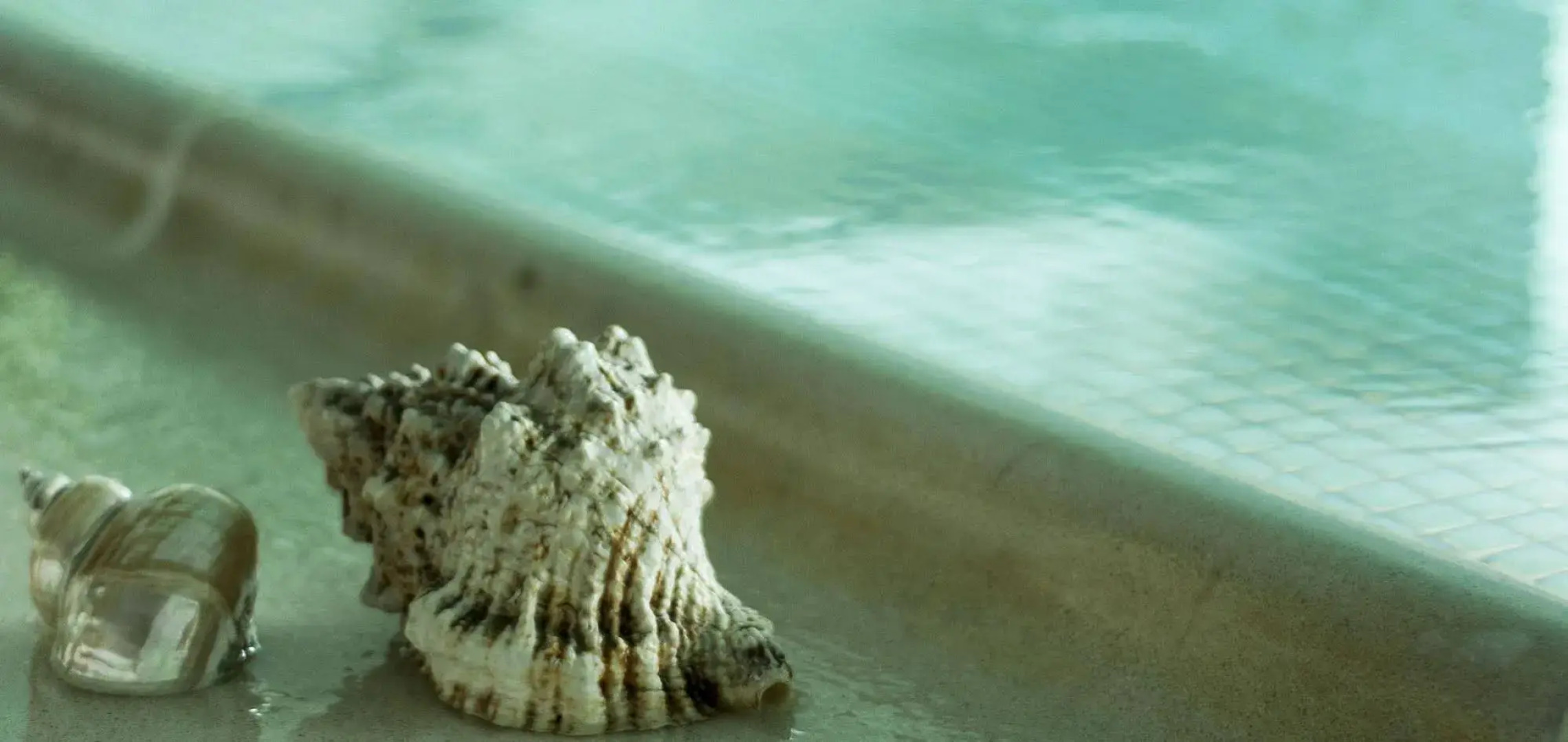 Vidi Miramare & Delfino