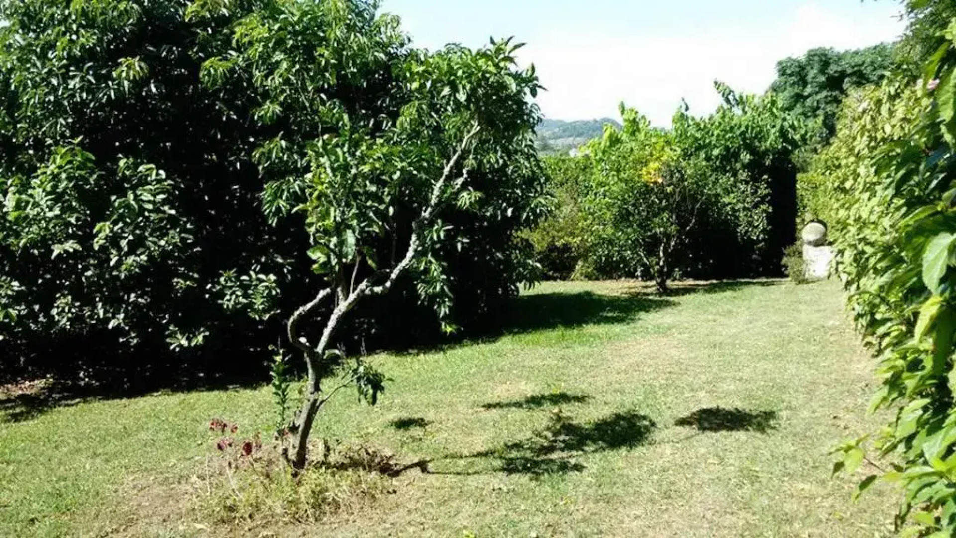 Quinta das Bolas