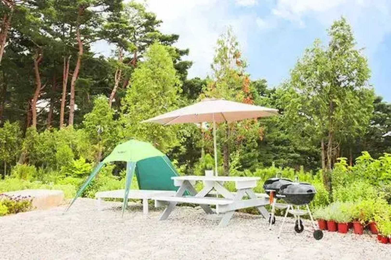 Gangneung Herbhill House Pension