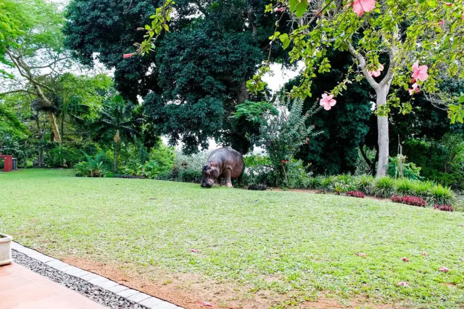 Vacation Letting Unit 3 The Bridge