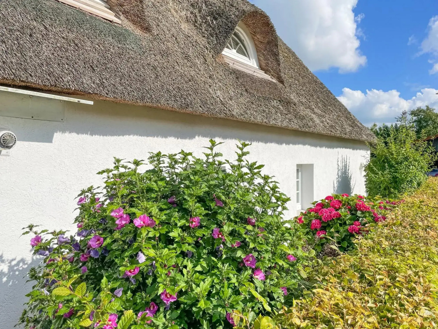Charming thatched house in Lehe
