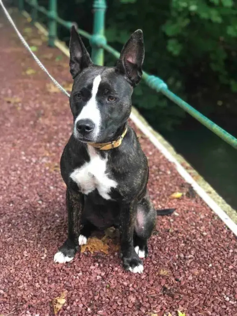 Charmante chambre d'hôte atypique chez l'habitant à Pont-Audemer