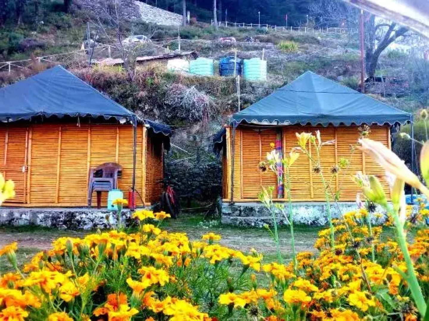 Dhanaulti  Wood Camp