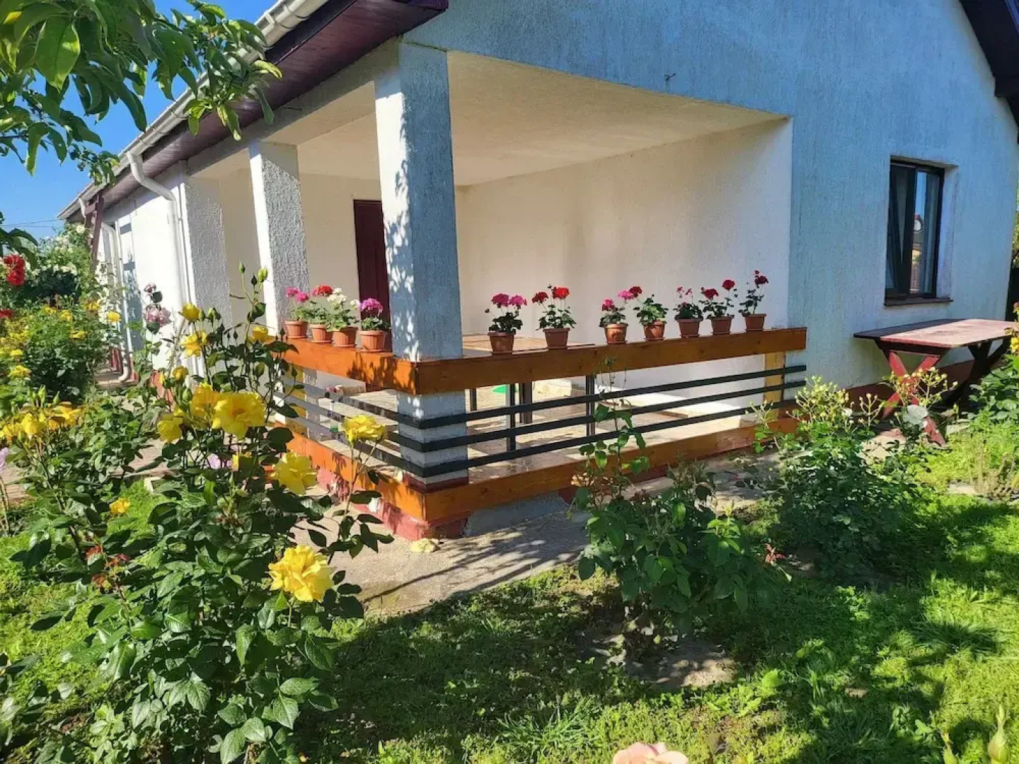 Delta crisan flamingo