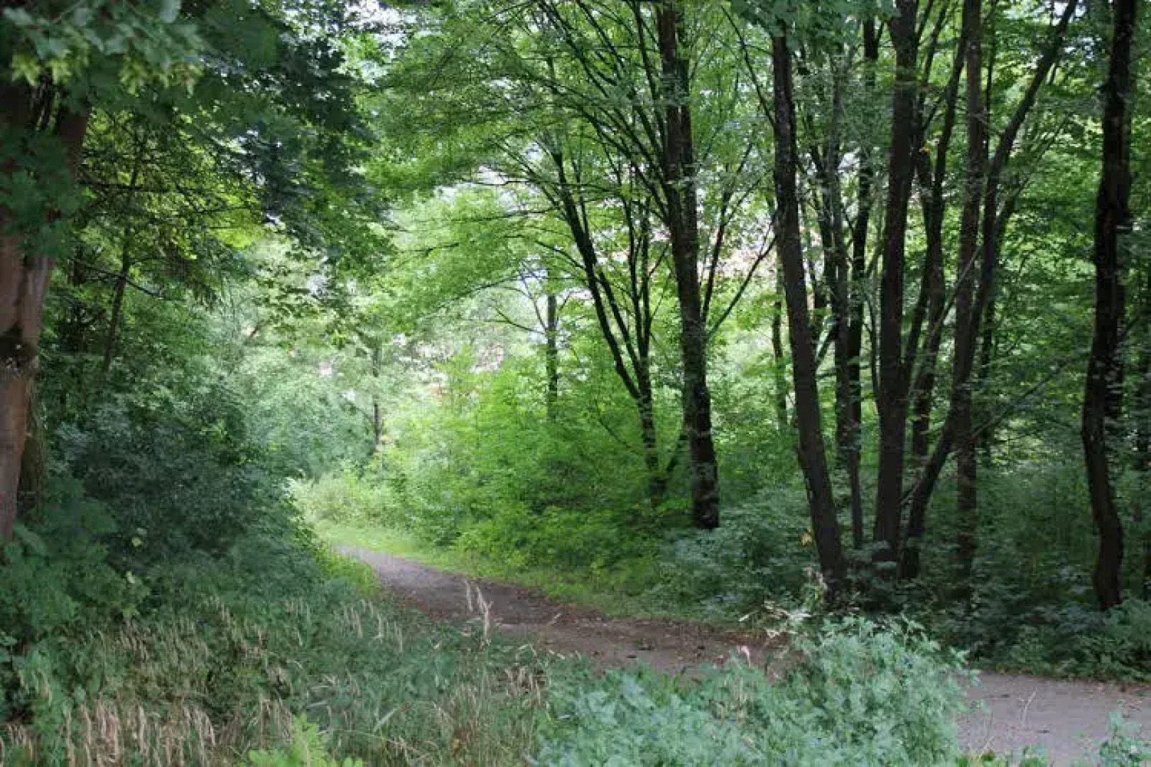 Hotel Gasthof Rössle