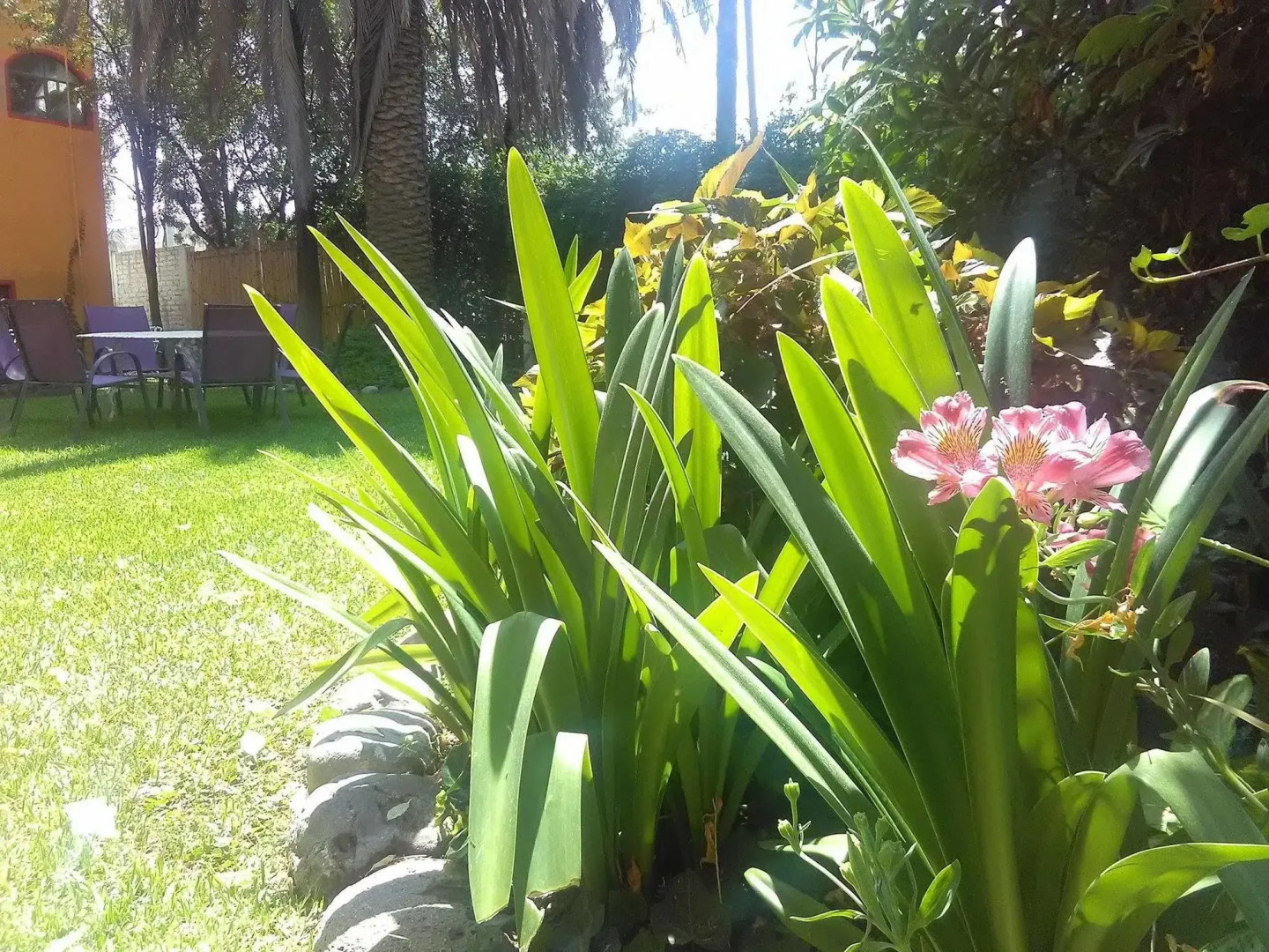 Hotel La Gloria de Calvillo