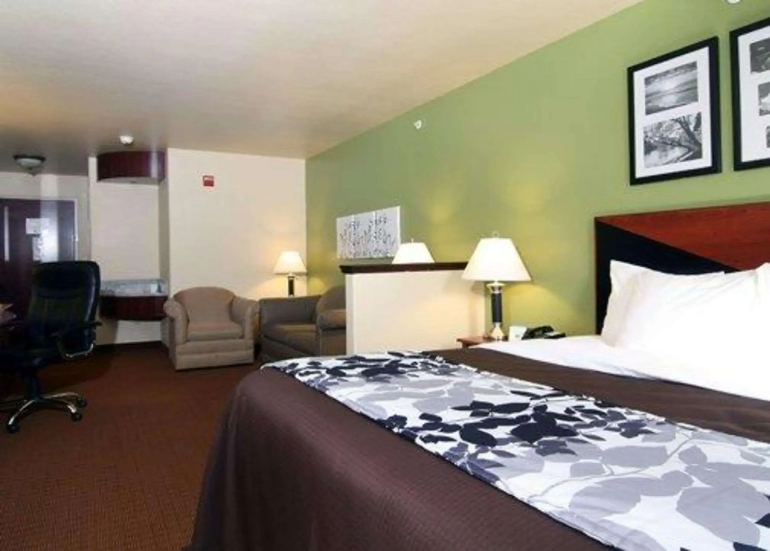 Sleep Inn & Suites Shamrock