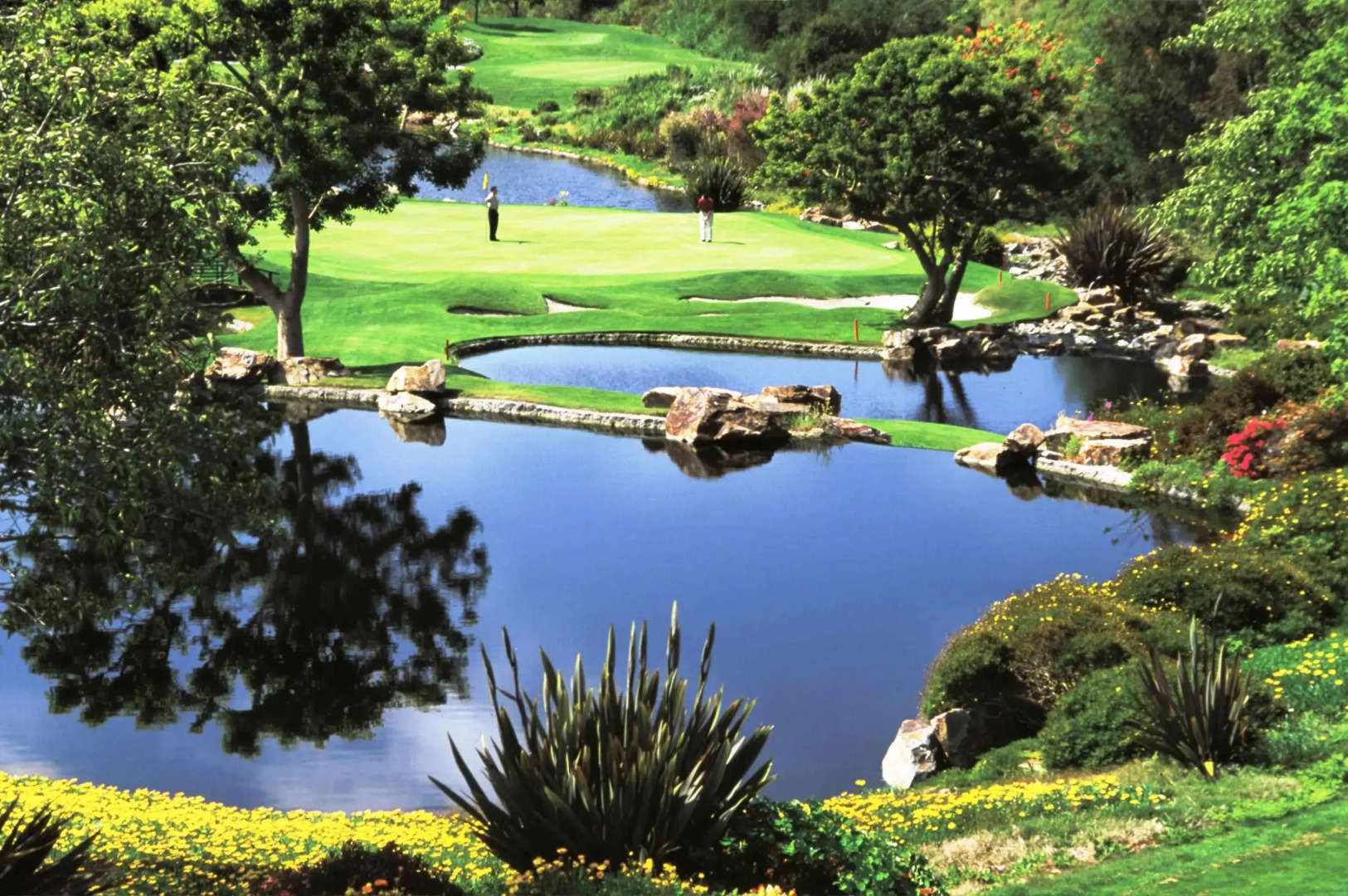 Park Hyatt Aviara Resort, Golf Club & Spa