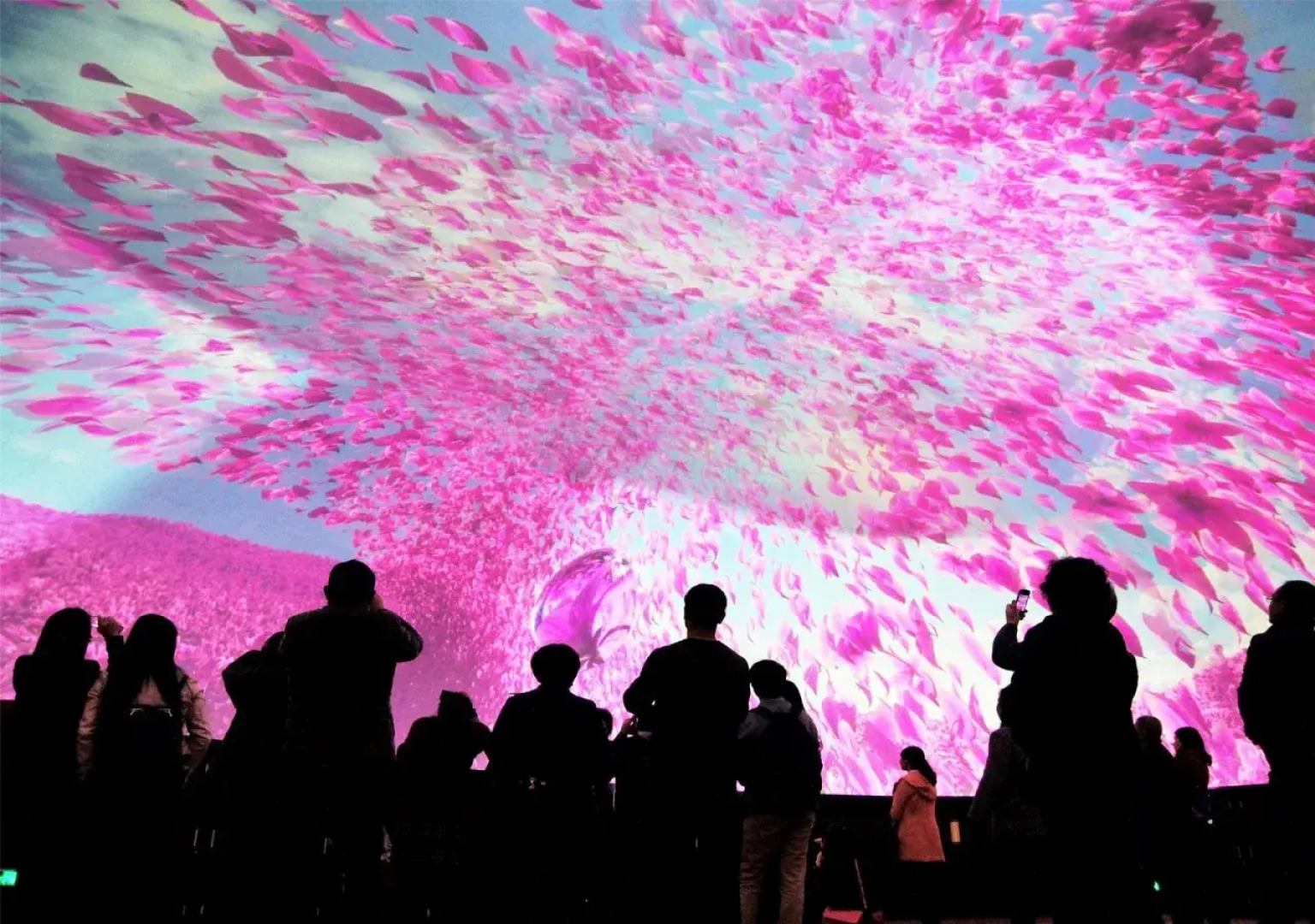 Howard Johnson City of Flower Hotel Kunming