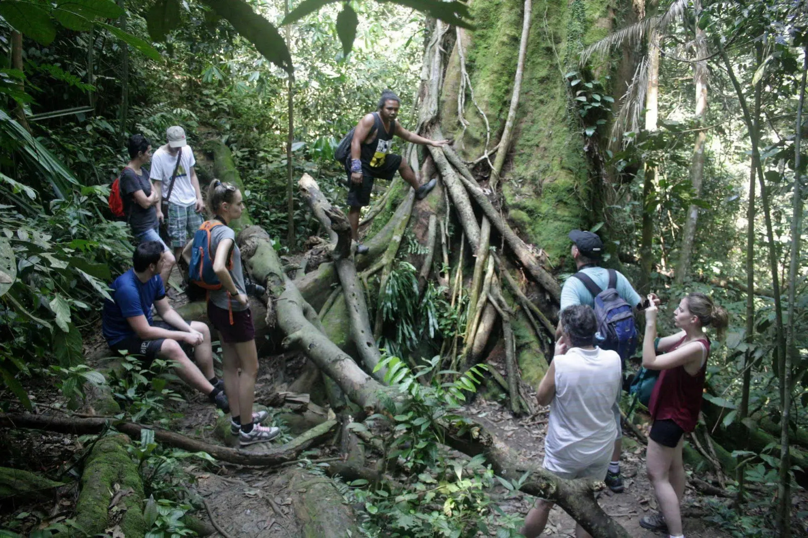 Indra Valley Inn Bukit Lawang