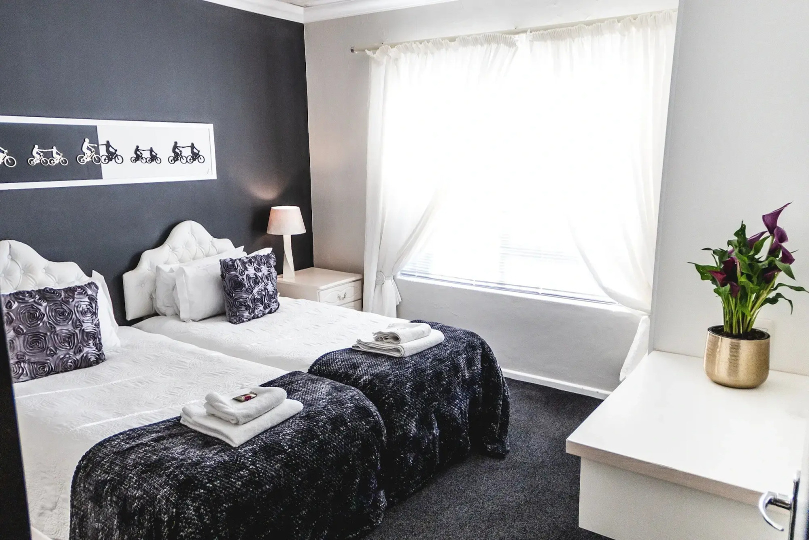 The Seagull Hermanus