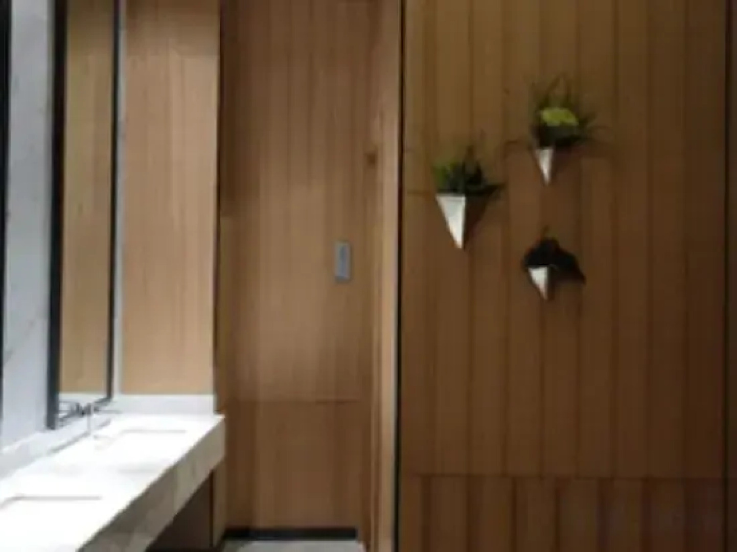 Borrman Hotel Hechi Bama