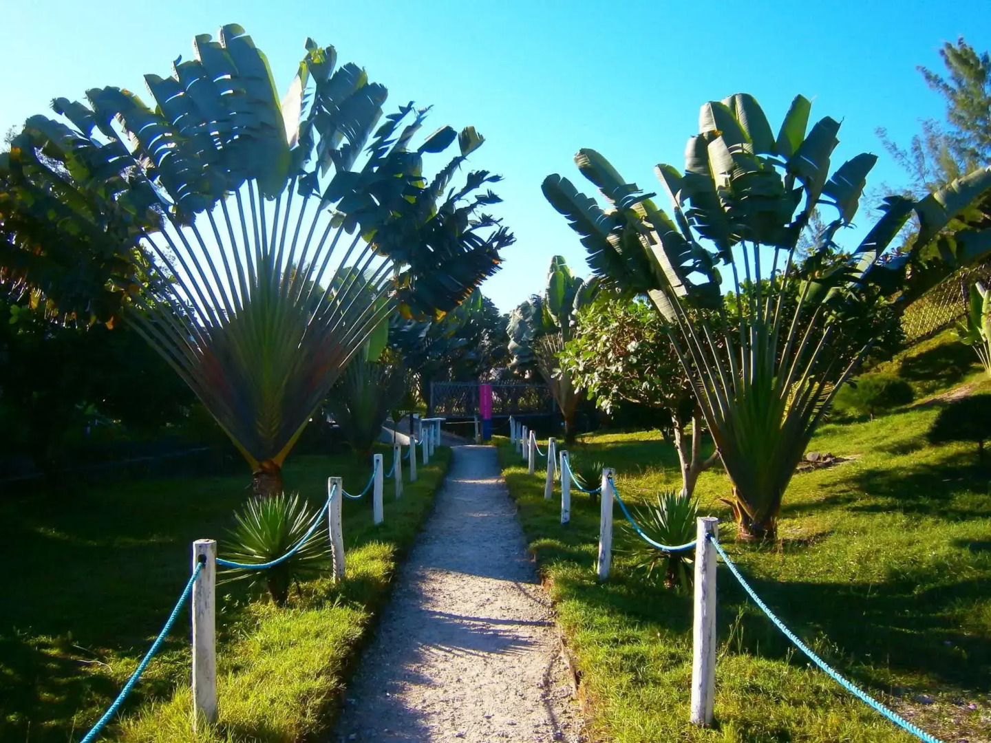 Riake Resort & Villa