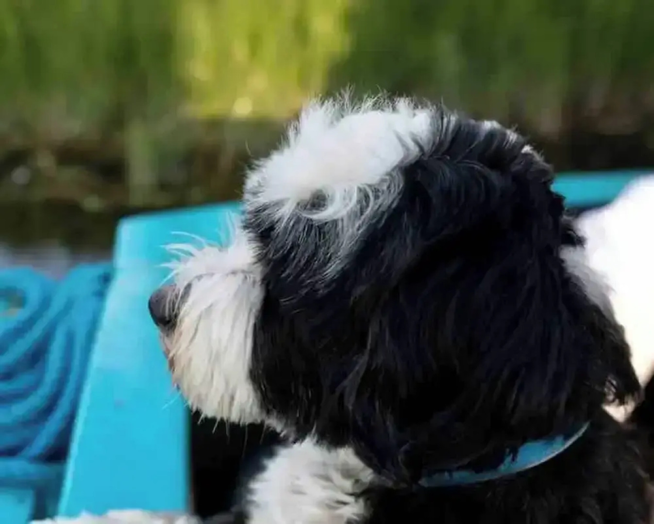 5 Star Stunning Houseboat, no Experience Required! Enjoy the Most Romantic Trip!