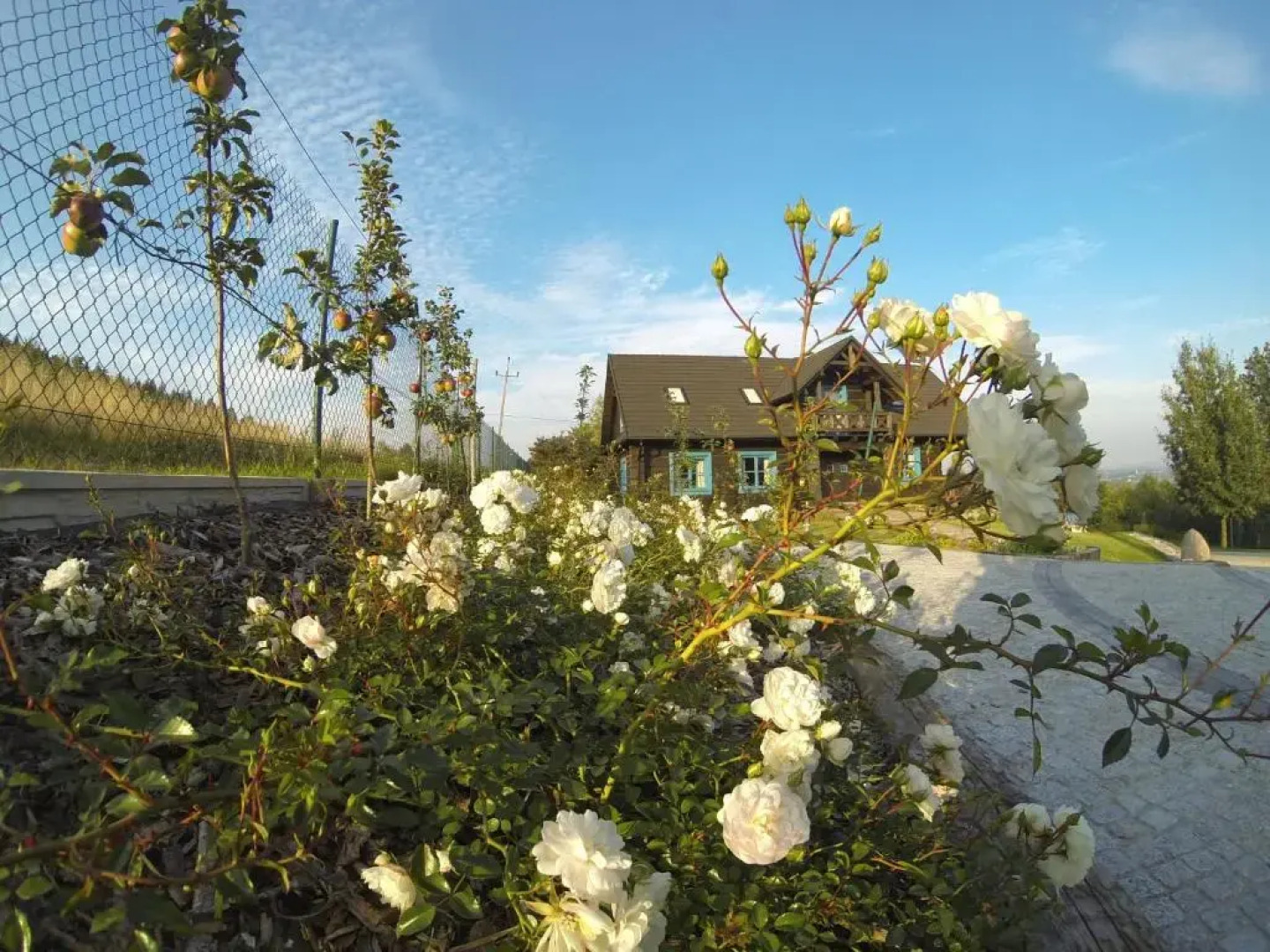 Świetnokrzyska Chata