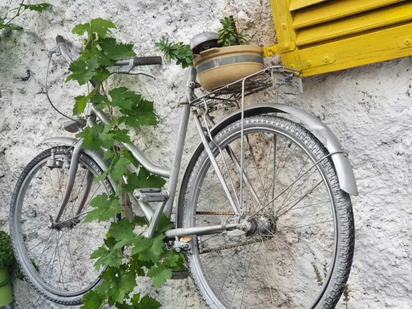 Villa Zigana Apartments