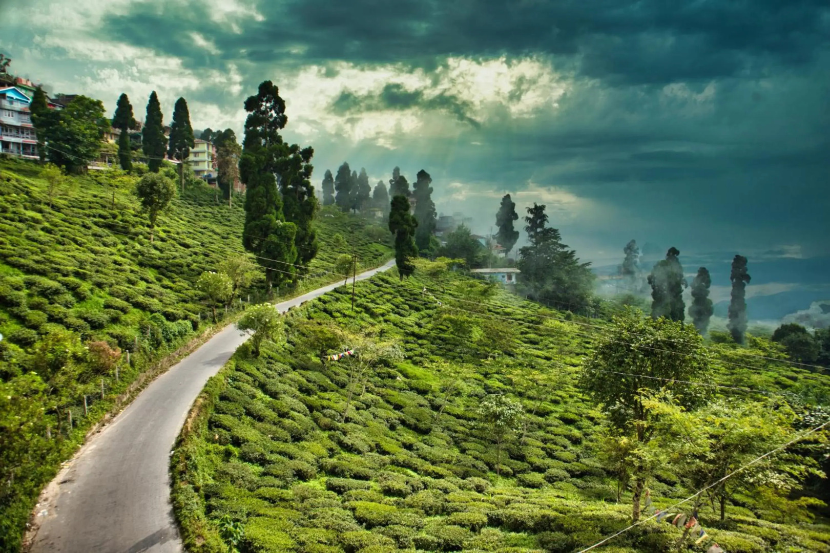 Traditional Homestay