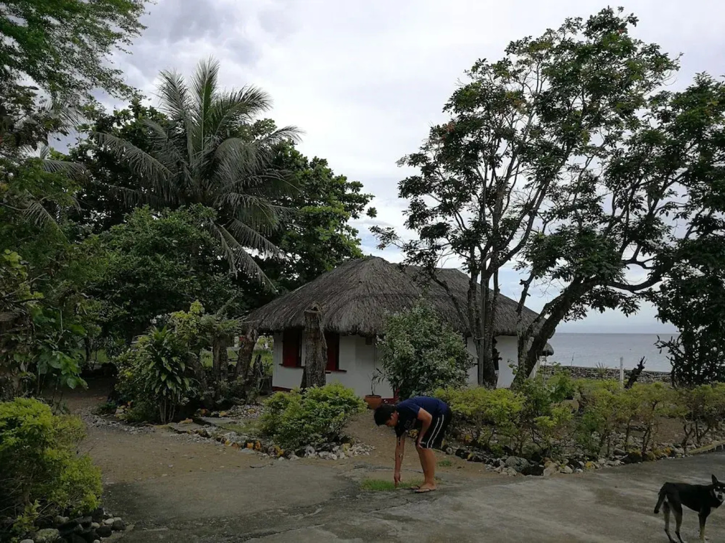 Beachview Pink Lodge