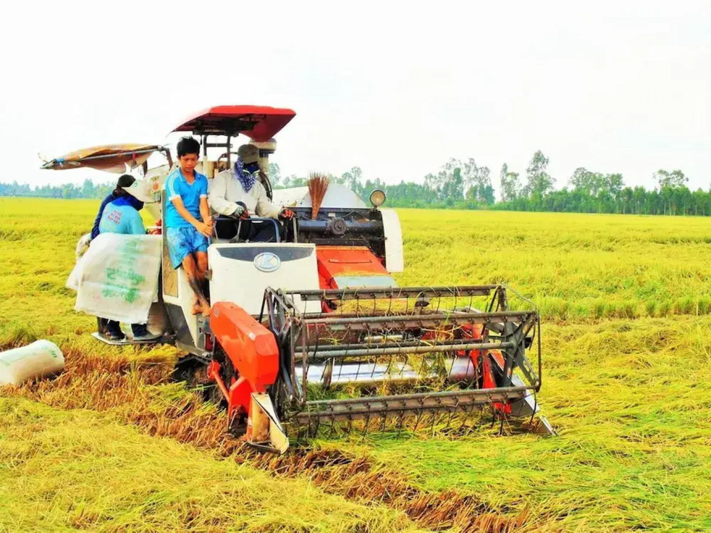 Hai Lua Homestay (Lotus Lake Homestay)