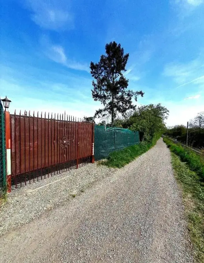 Tiny House in the City