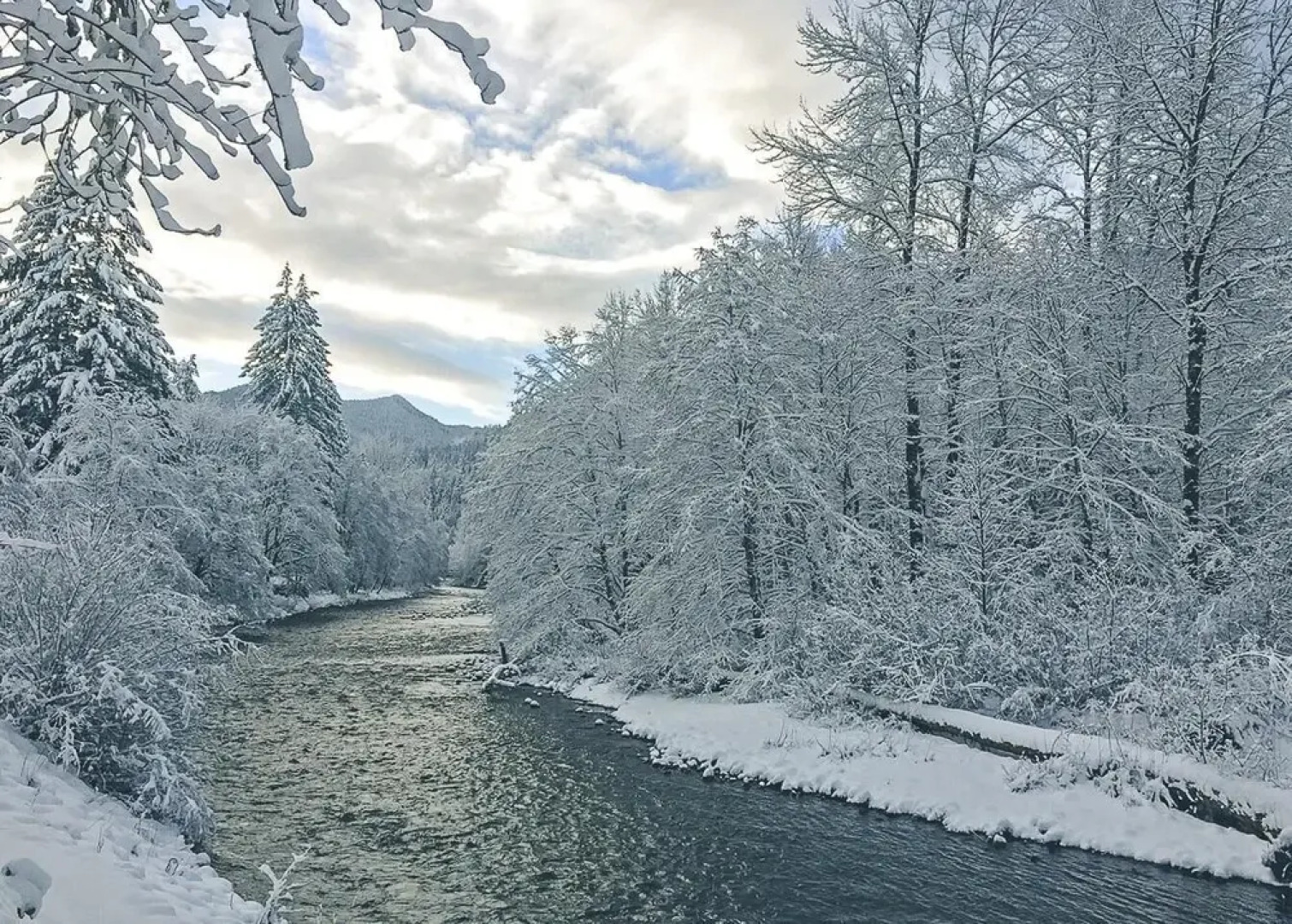 Salmon River Condo #5