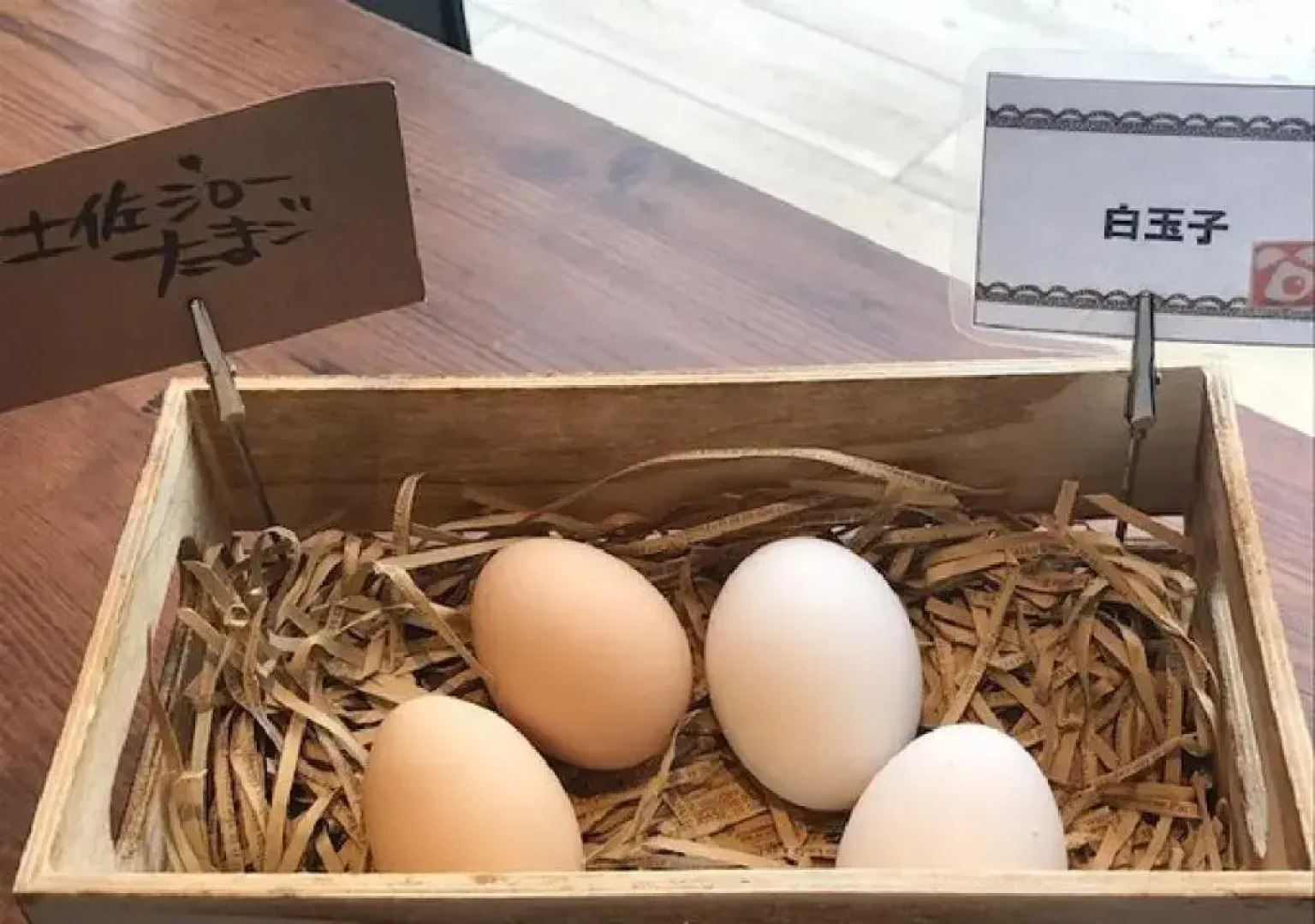 Hotel Sunriver Shimanto / Vacation STAY 71328