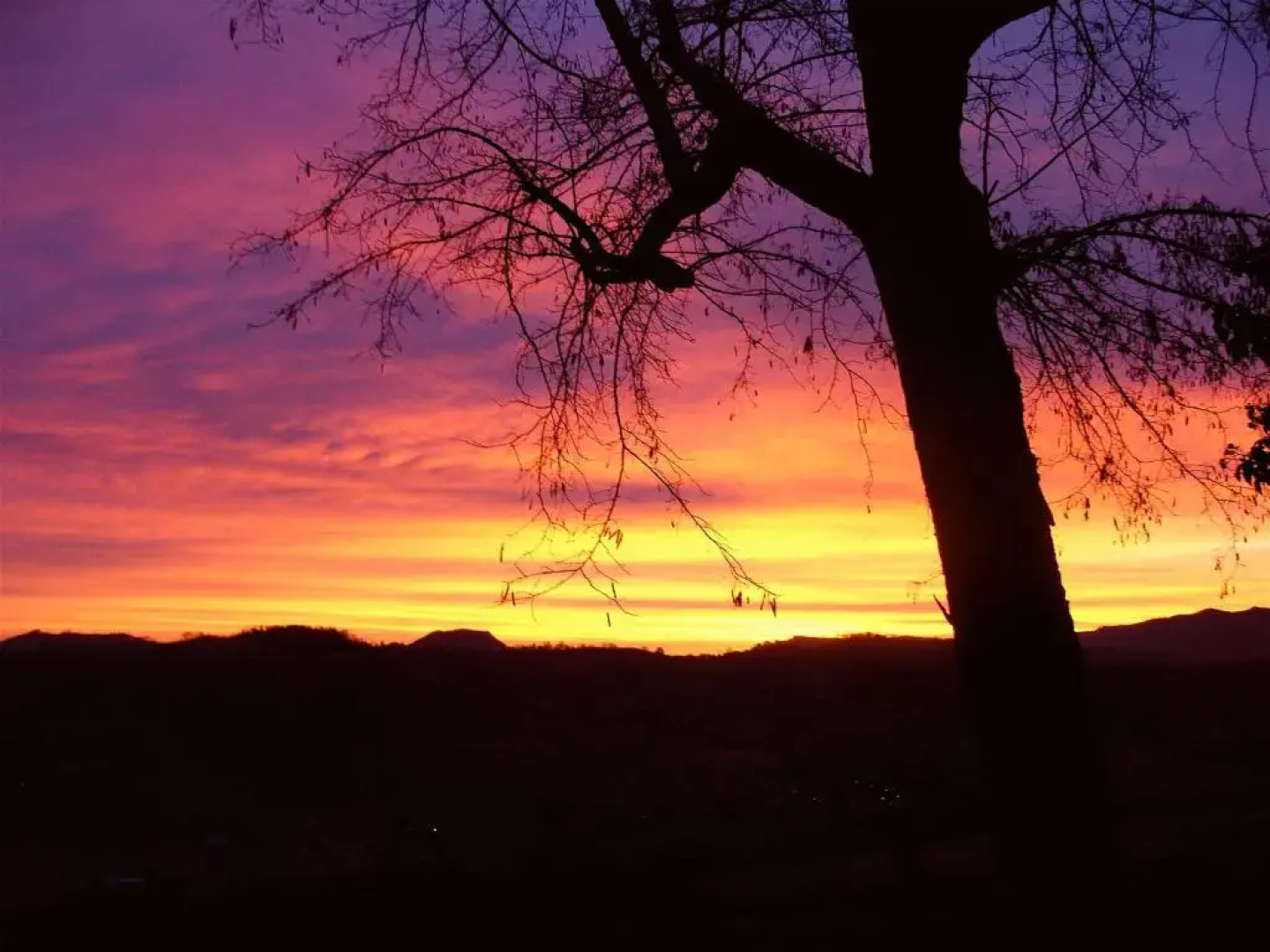 Agriturismo Ca Isotta