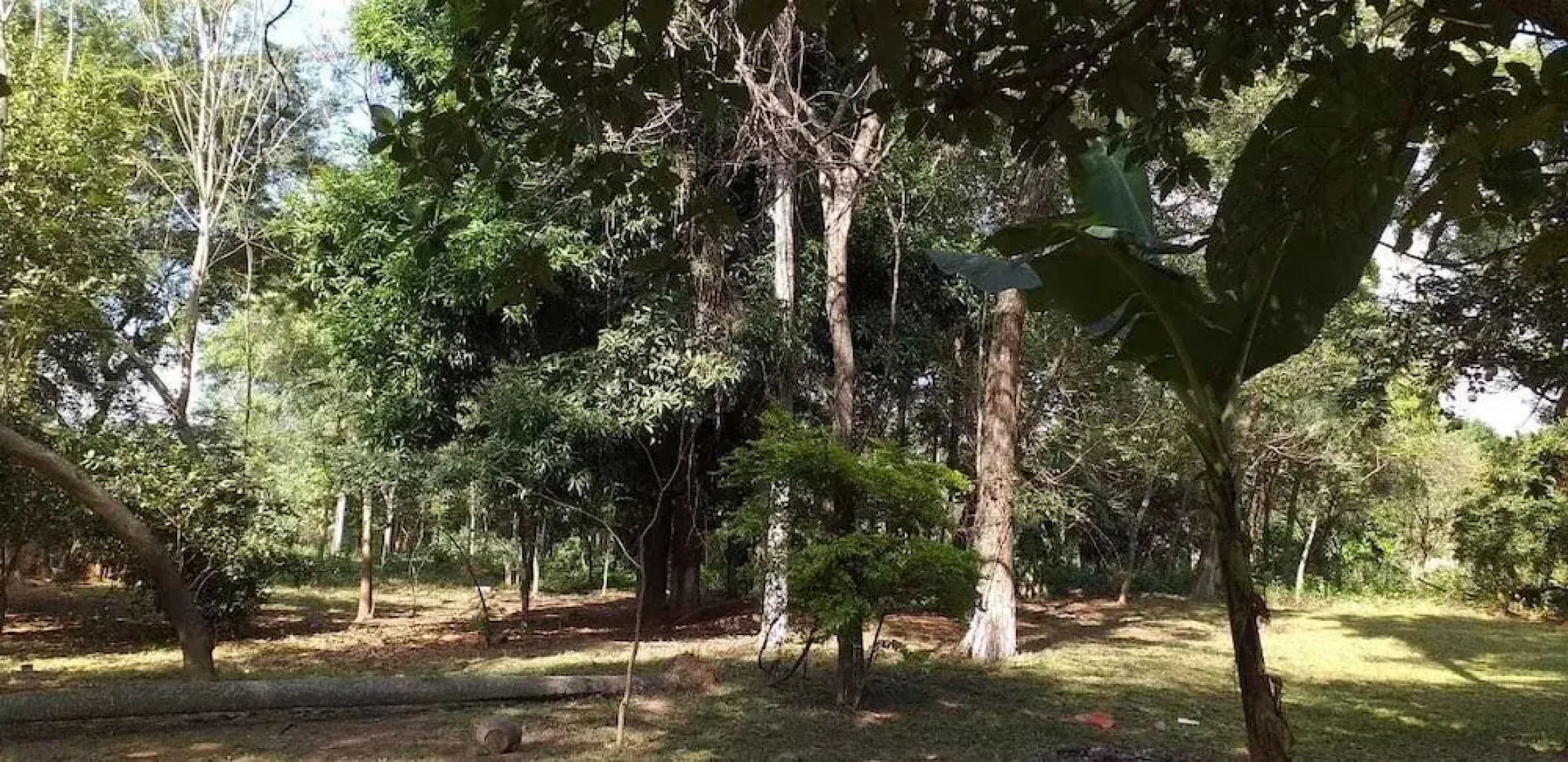 Rancho 3A