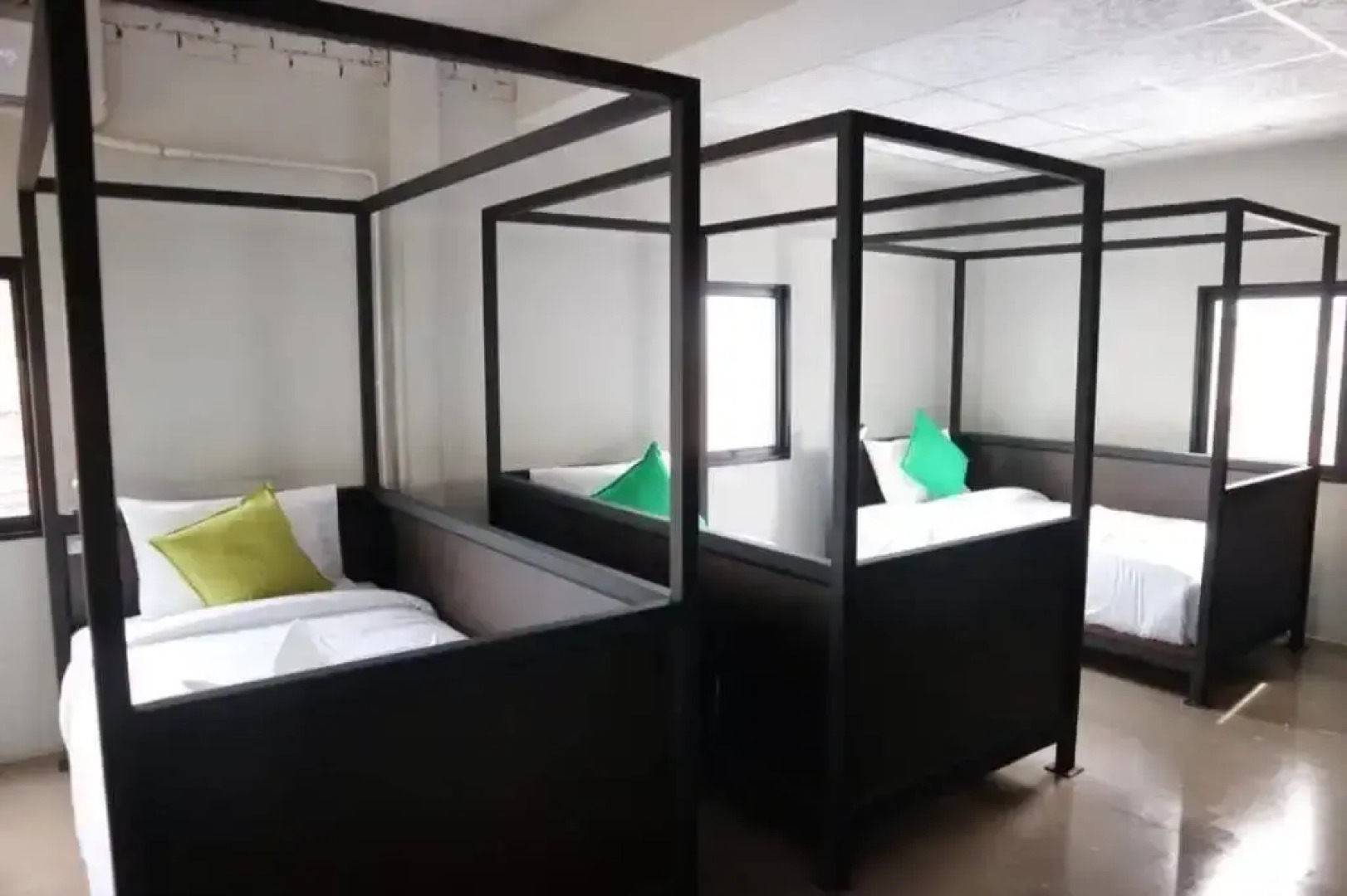 The Tree Sleep and Space