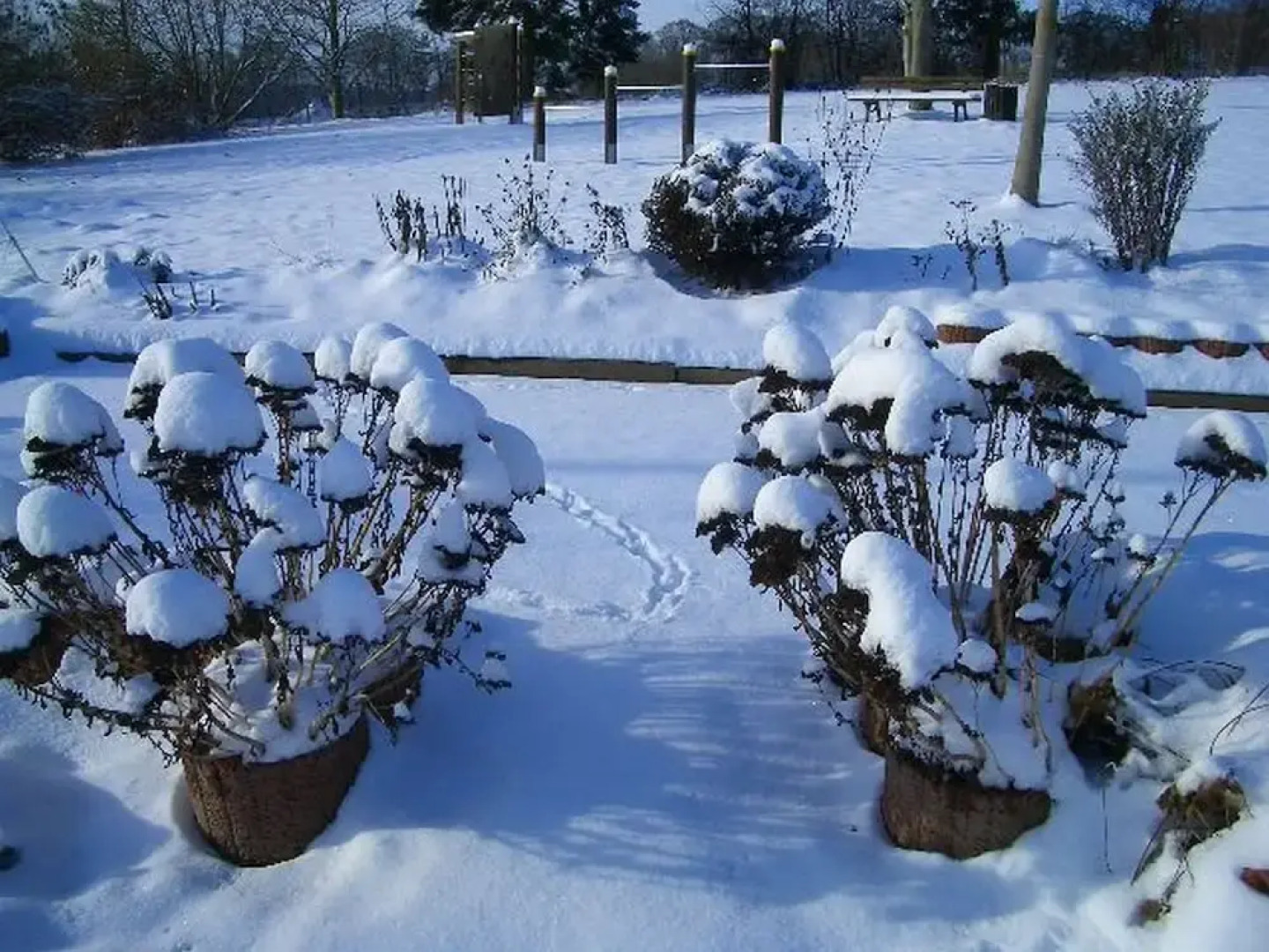 Bungalow im Feriendorf Uslar mit Gartenterrasse