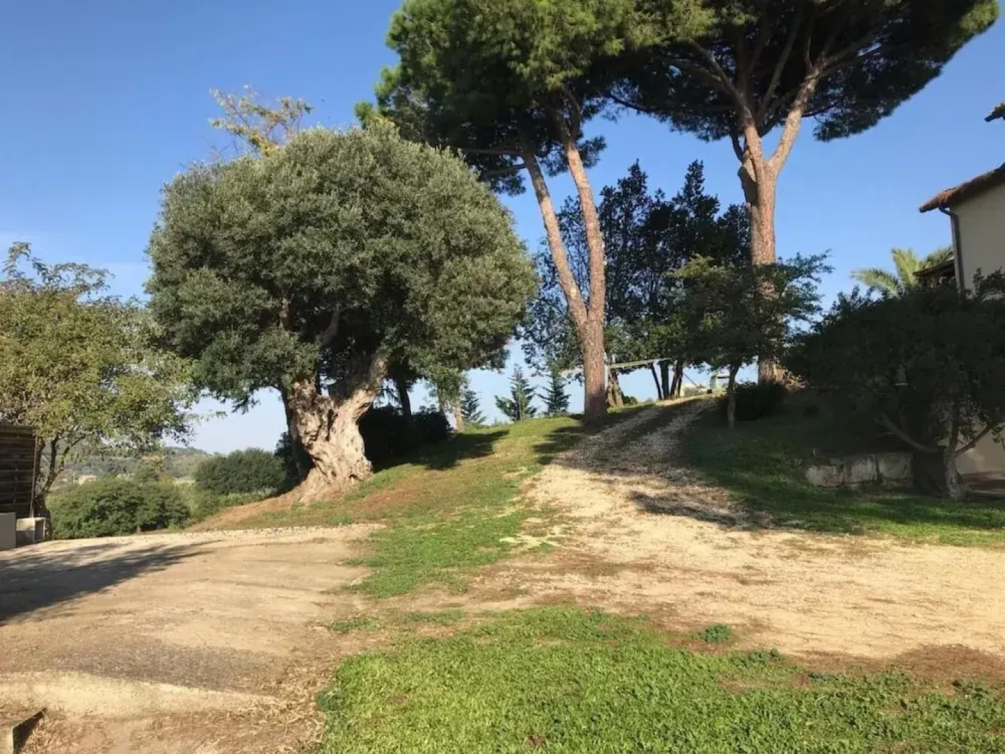 Agriturismo Il Poderino