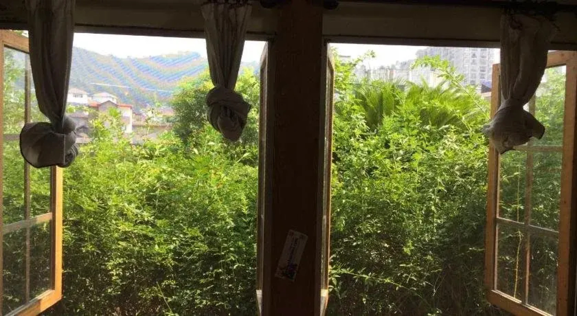 Zhangjiajie Zhongtian International Hostel