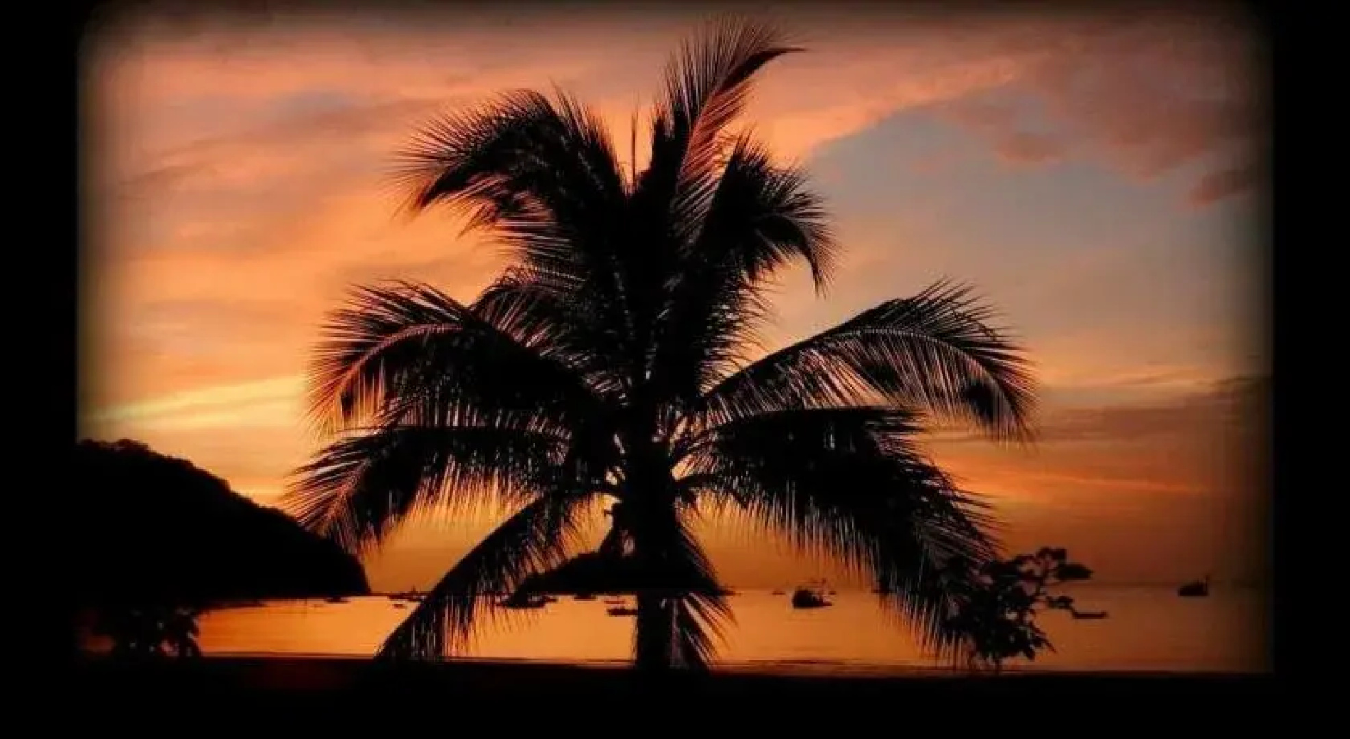 Toro Blanco Resort