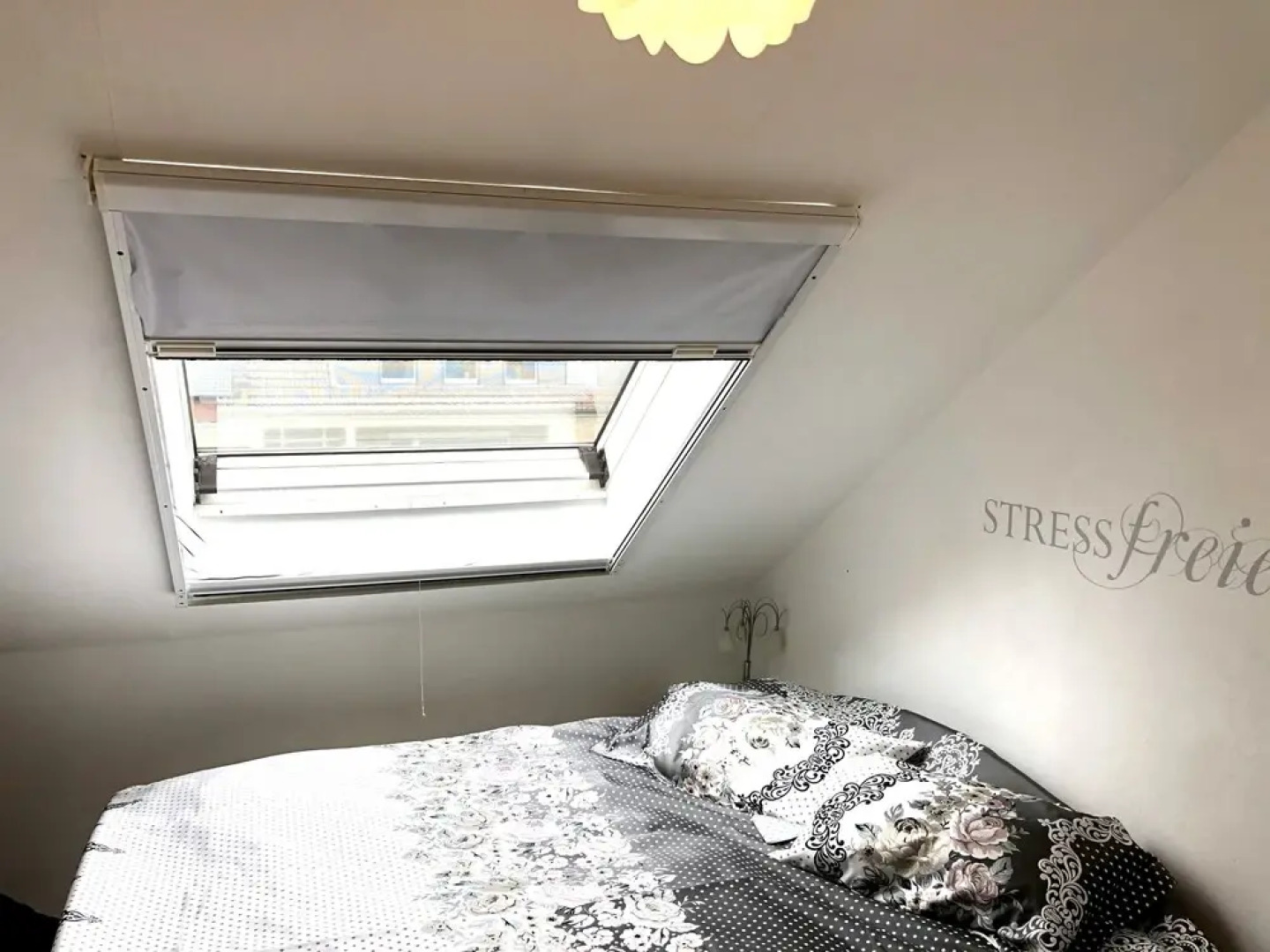 Apartment Tulpengasse 14