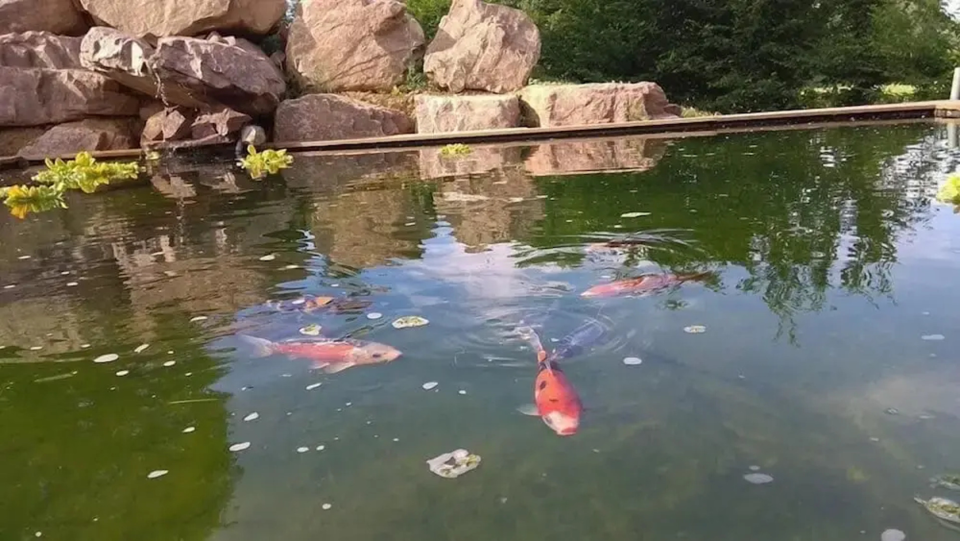 Les nuits insolites de la mothe tiny house